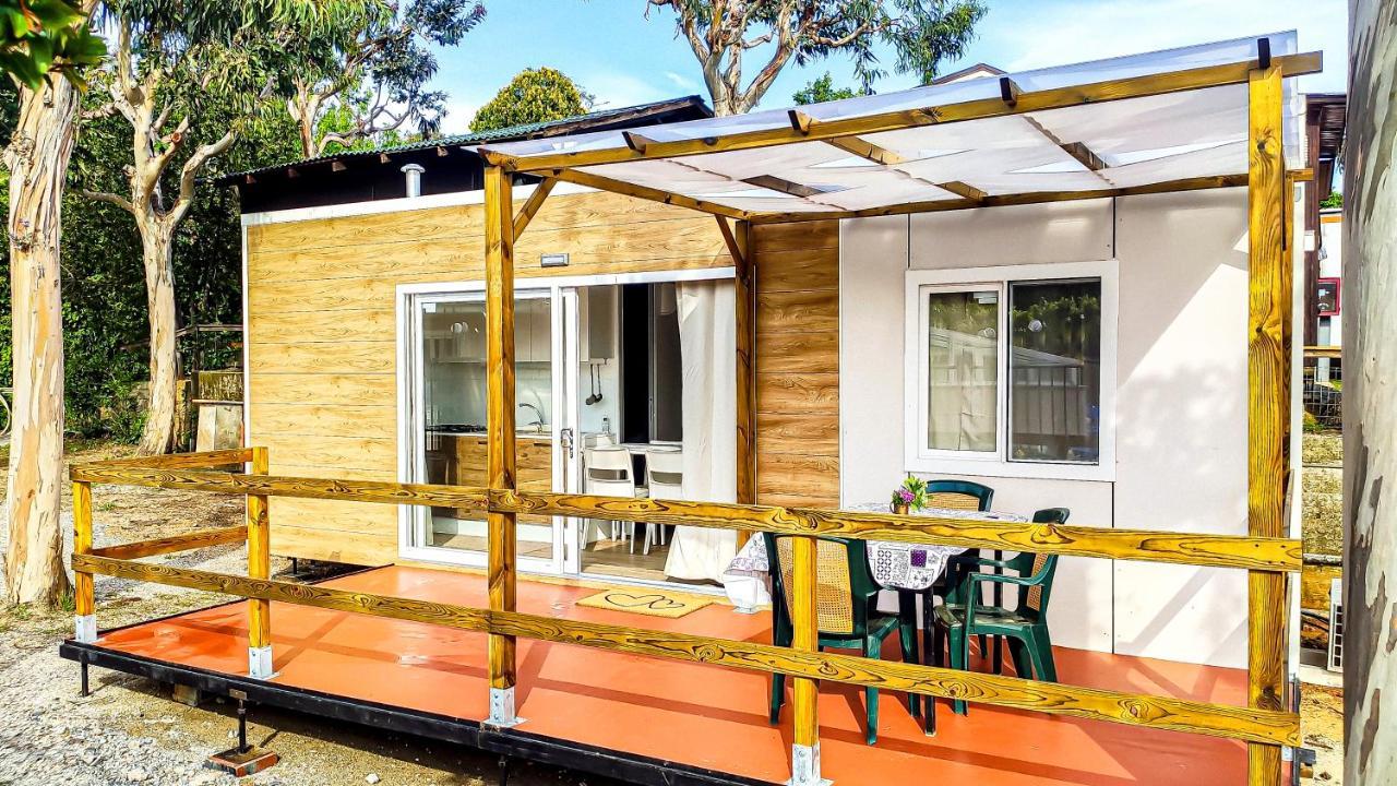 Mobile Home