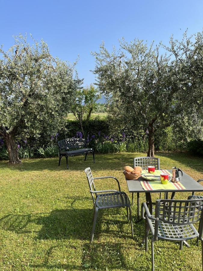 One-Bedroom Apartment Garden