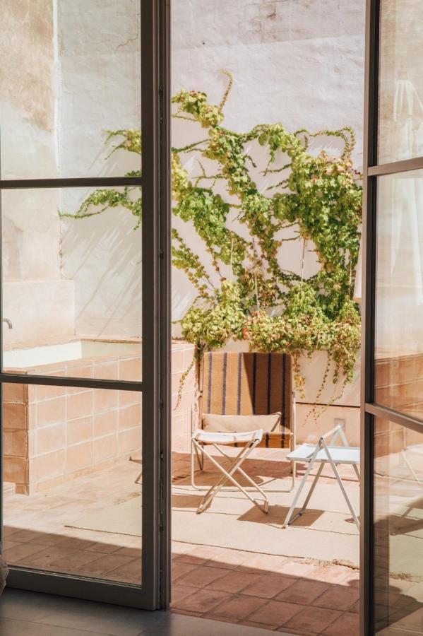 Suite Terrace