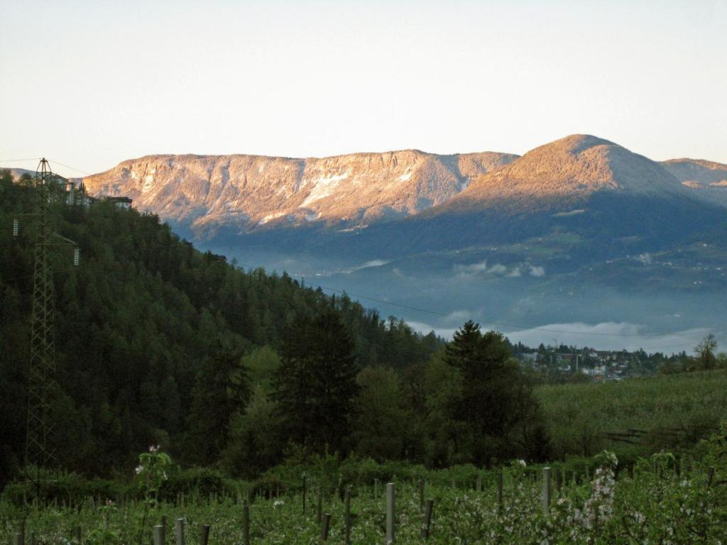 Double Room Mountain View