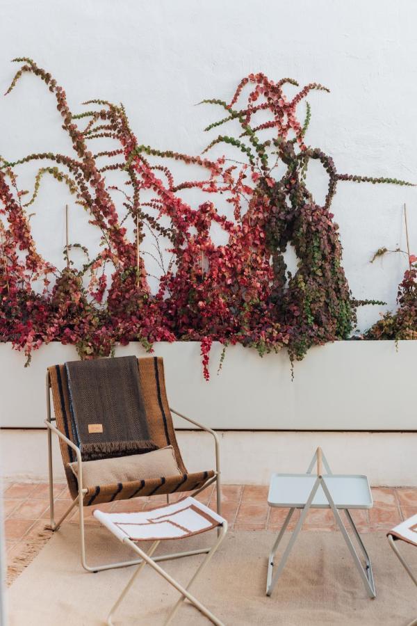 Suite Terrace