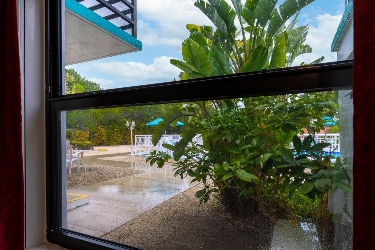 Queen Room Pool View