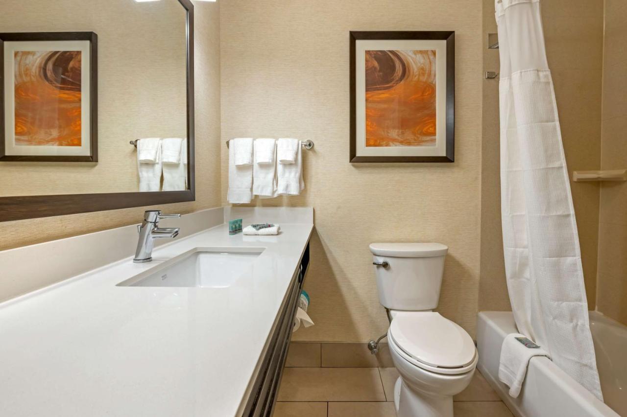 Queen Suite with Sofa Bed