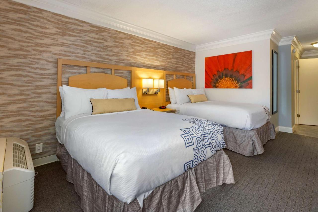 Double Room with Two Double Beds - Accessible