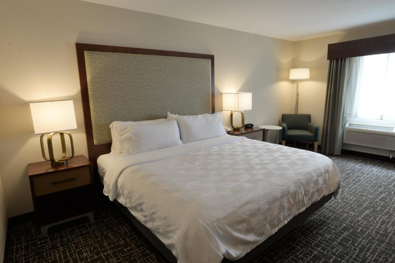 Standard King Room Roll Shower Mobility Accessible