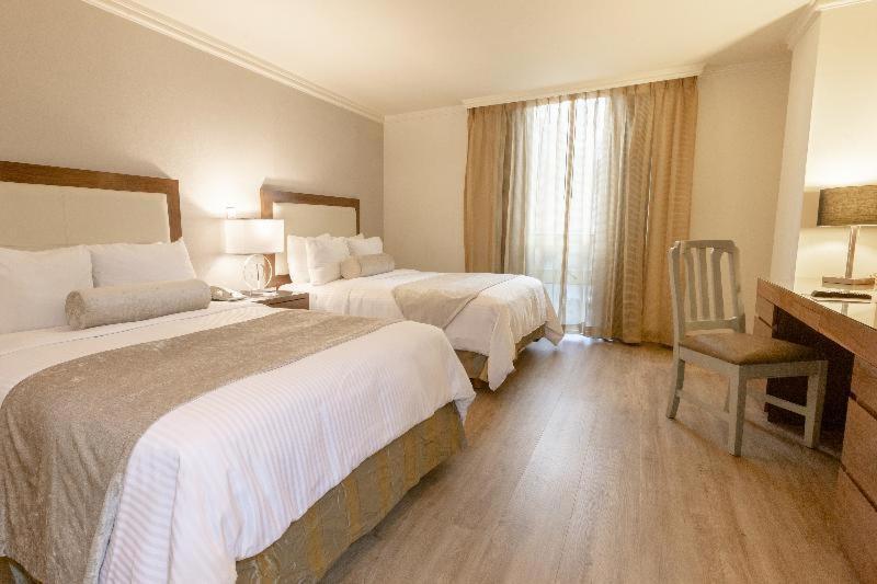 Suite with City View