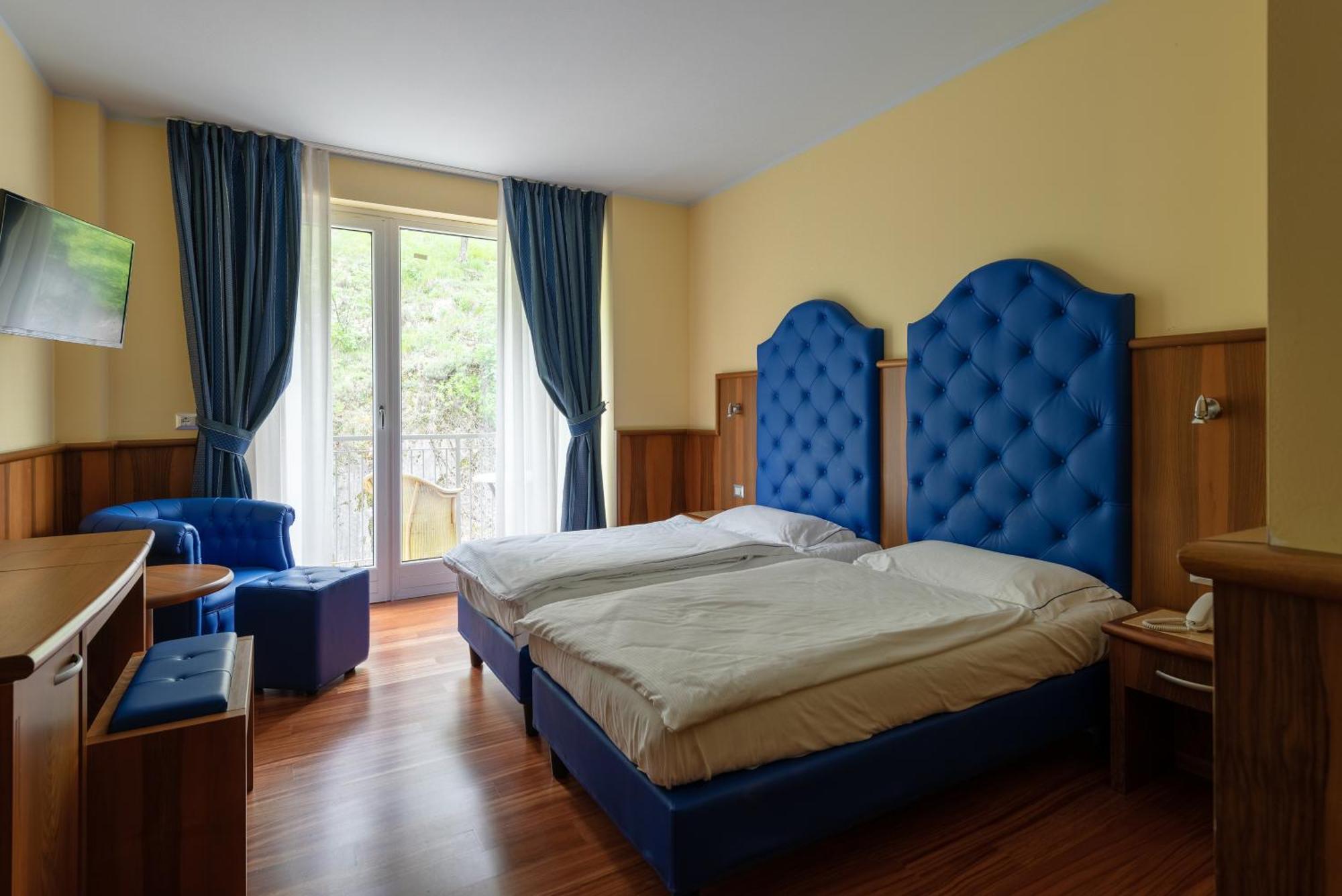 Deluxe Twin Room Mountain View
