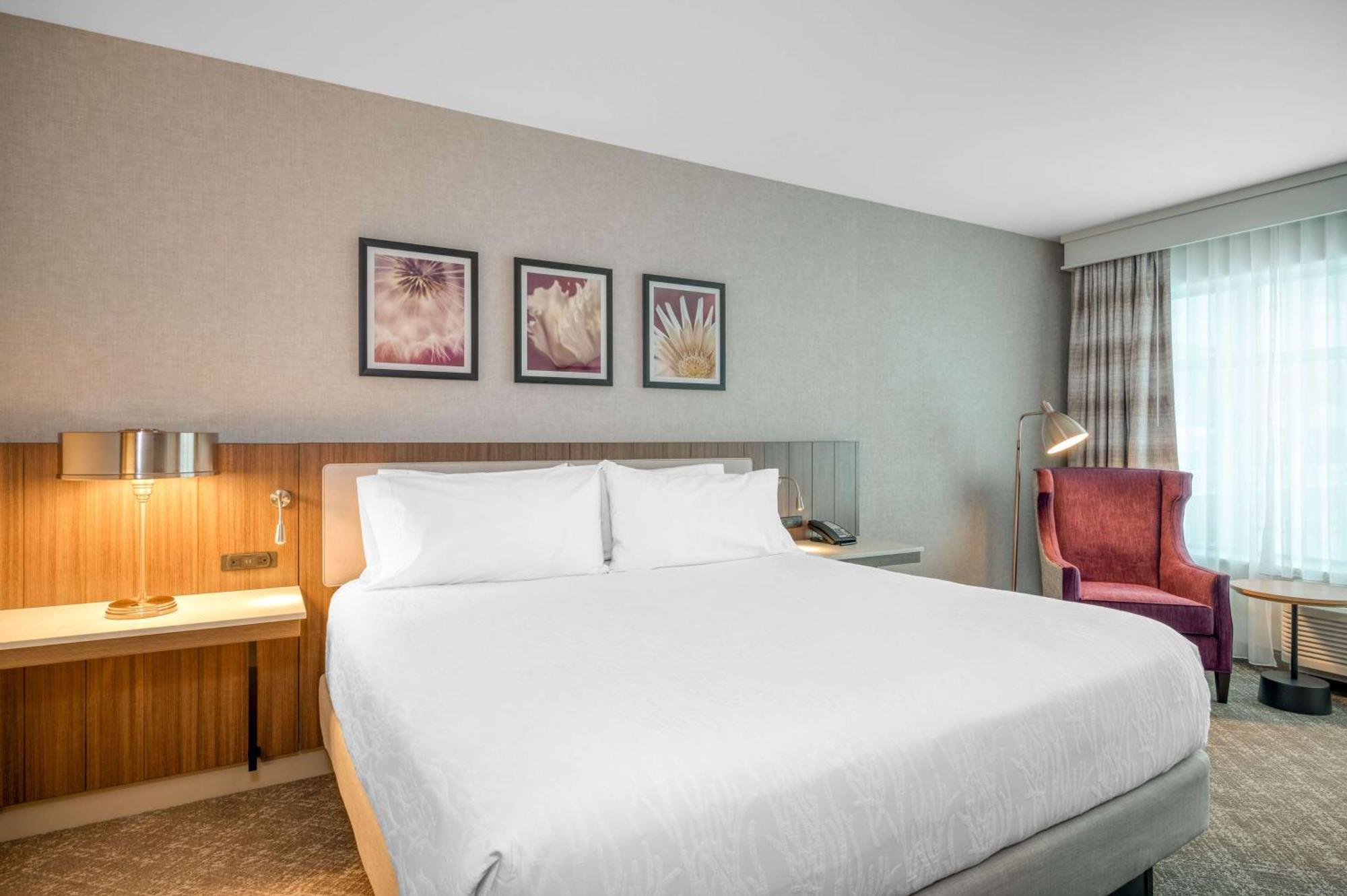 Premium King Room