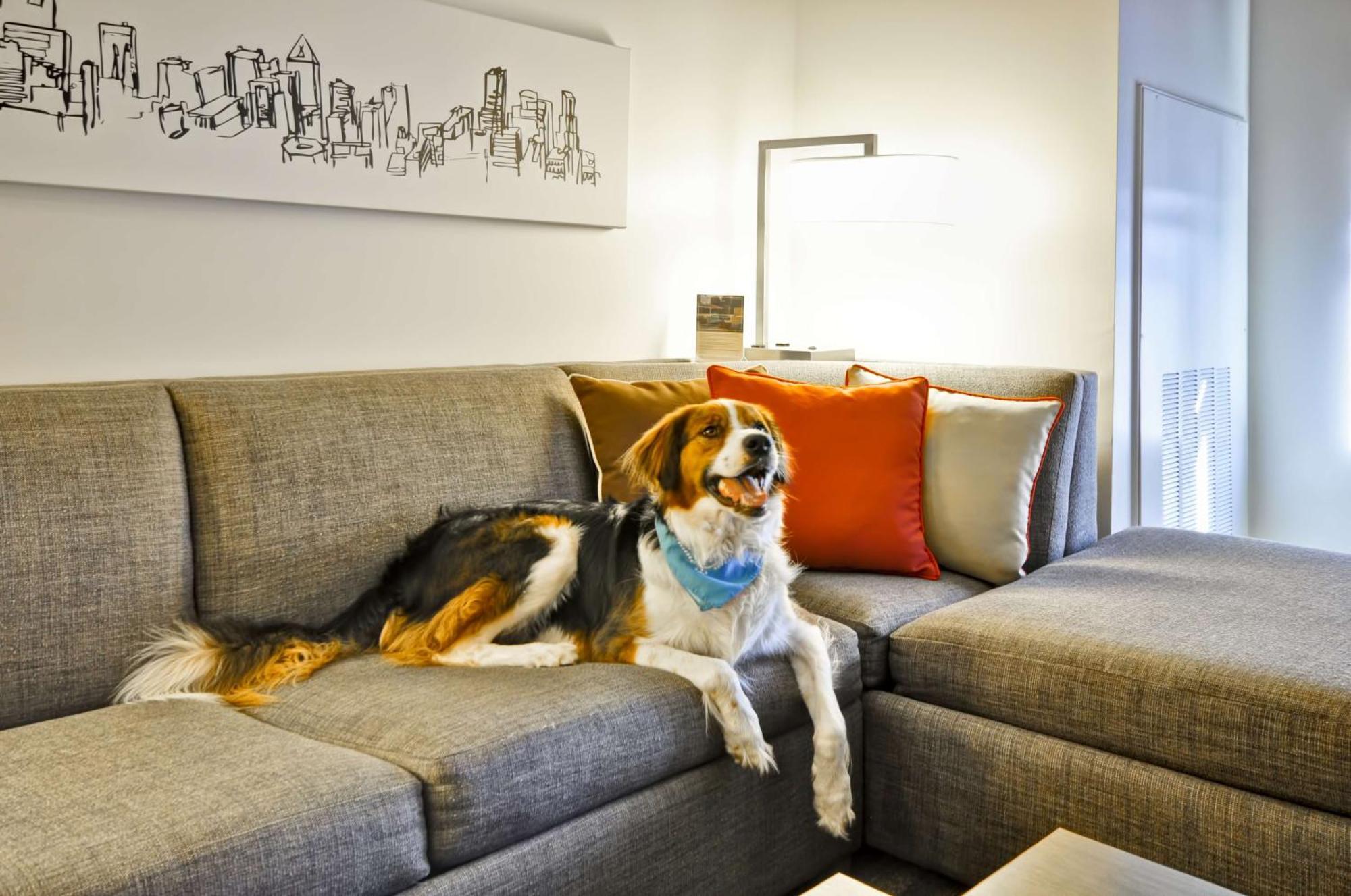 One-Bedroom King Suite