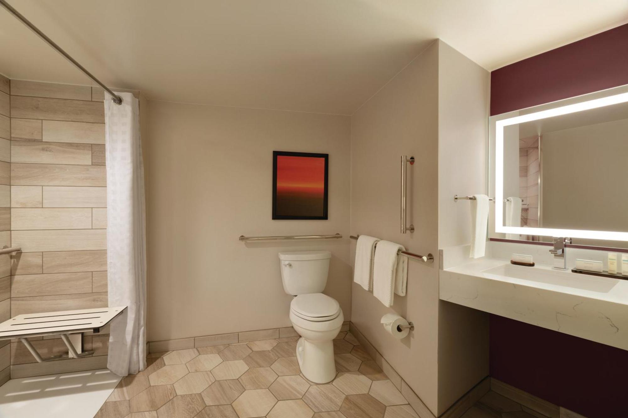 One-Bedroom King Suite Mobility Accessible