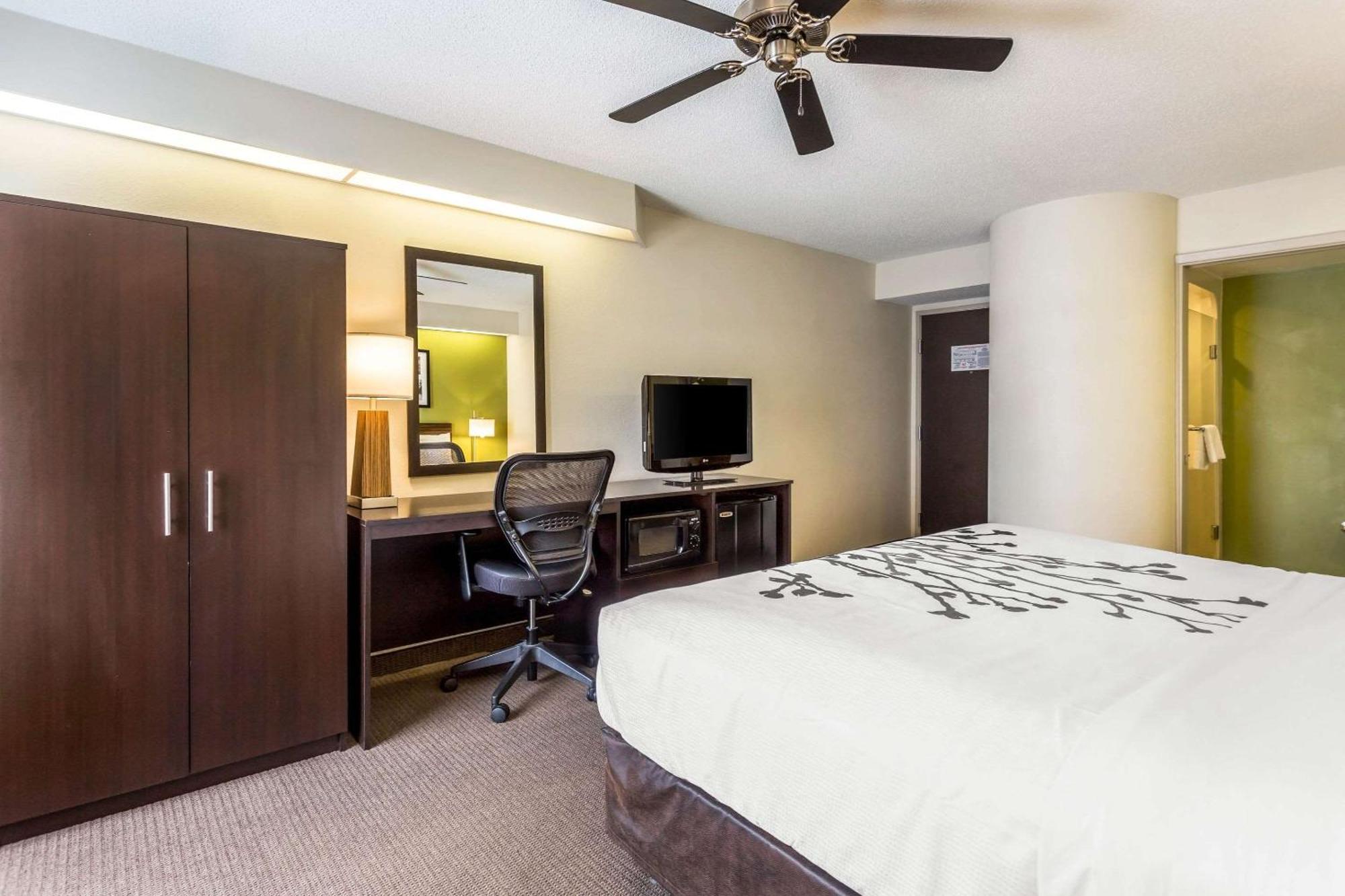 Standard King Room