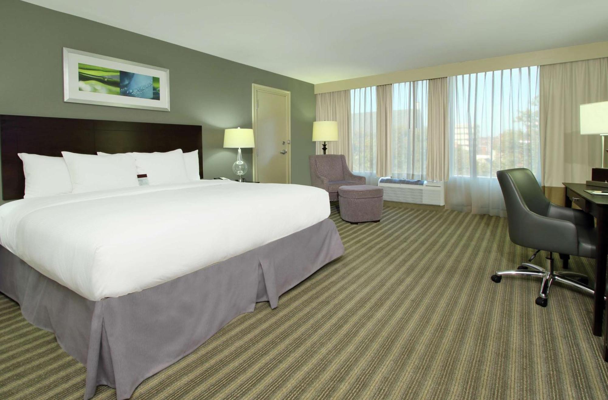 King Studio Suite
