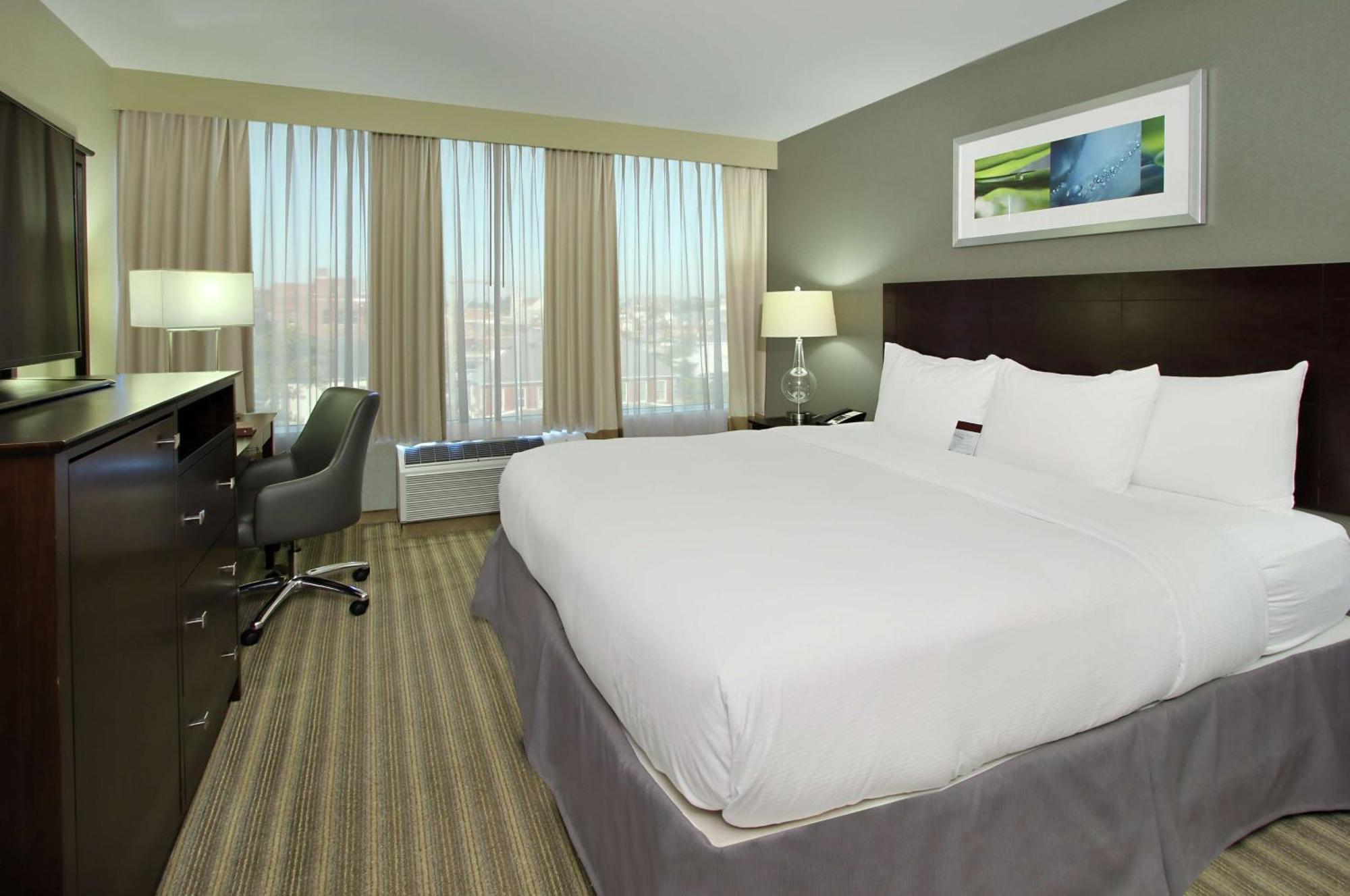 One-Bedroom King Suite