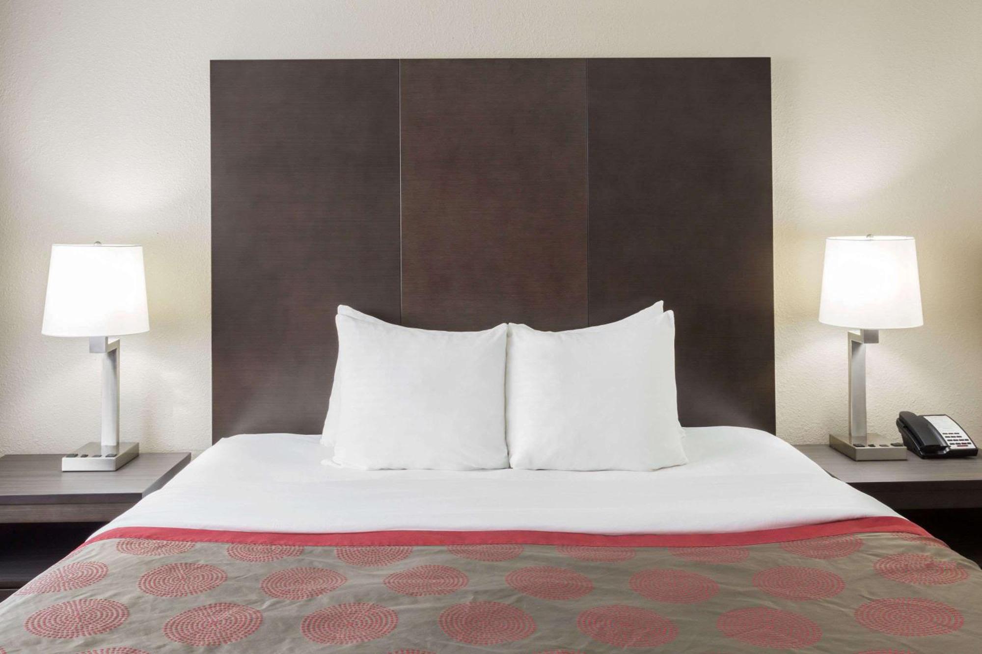 King Room with Mobility/Hearing Impaired Access - Non-Smoking,1275964807:JPEG