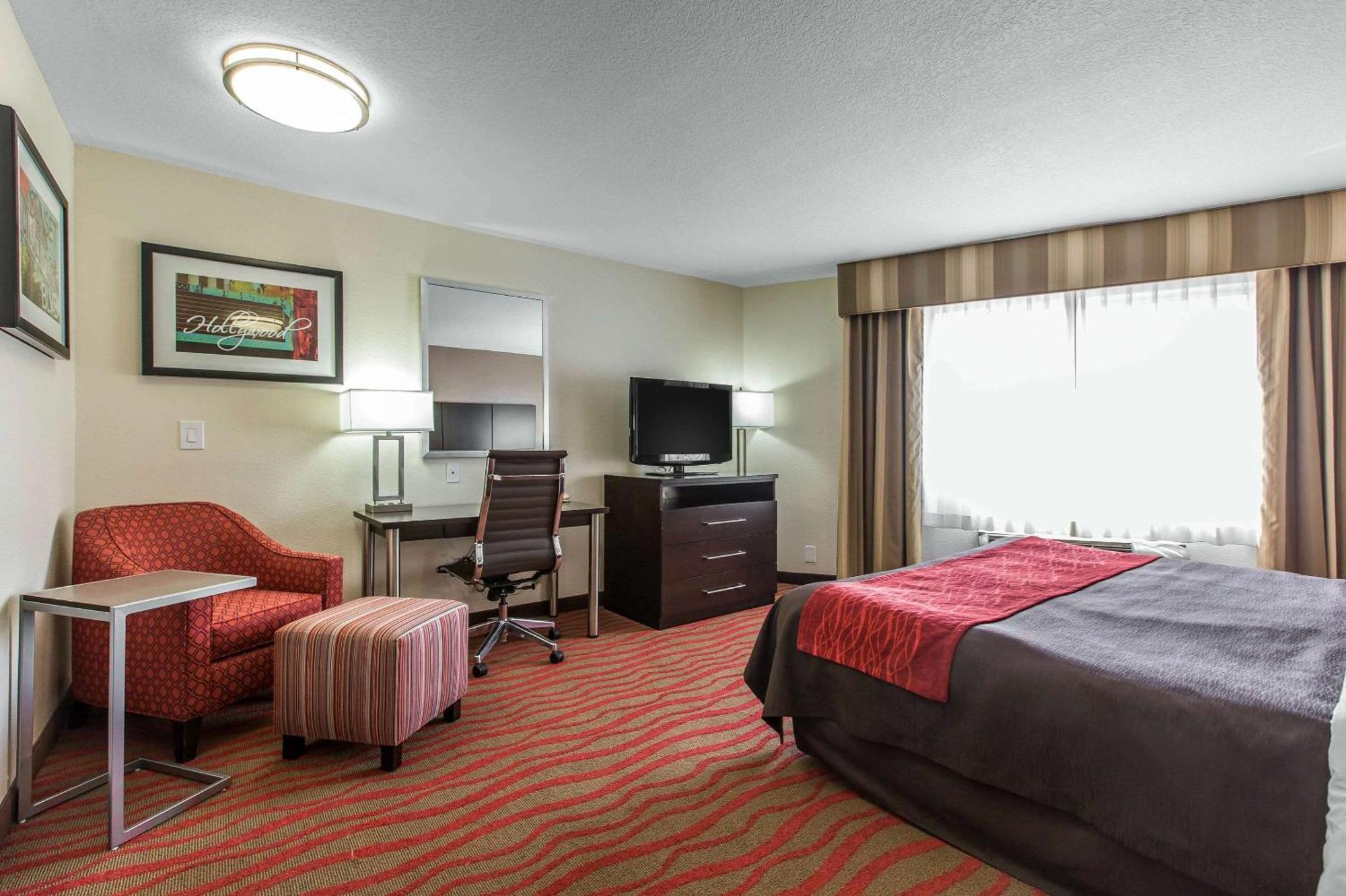 Standard Room 1 King Bed Non Smoking