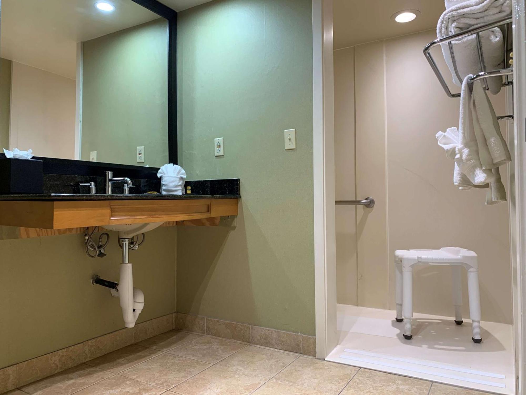 King Room Roll Shower Disability Access or Non-Smoking