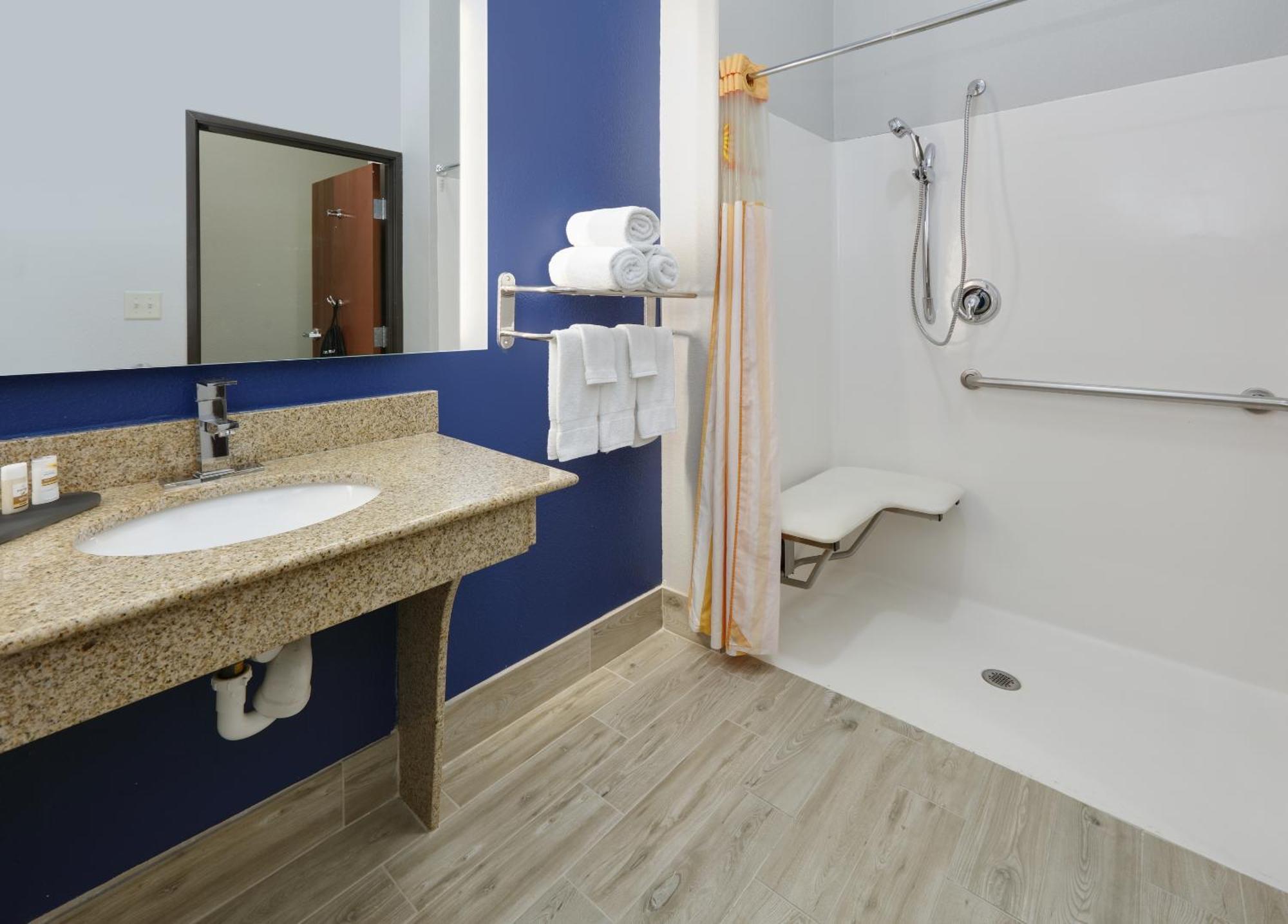 King Room Roll Shower Mobility or Hearing Accessible