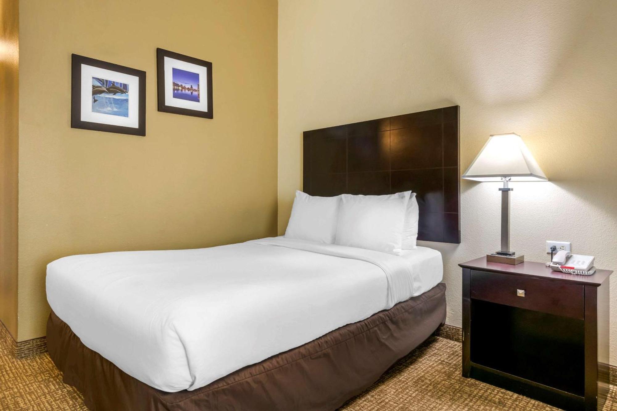 Standard Room Two Double Beds Disability Access
