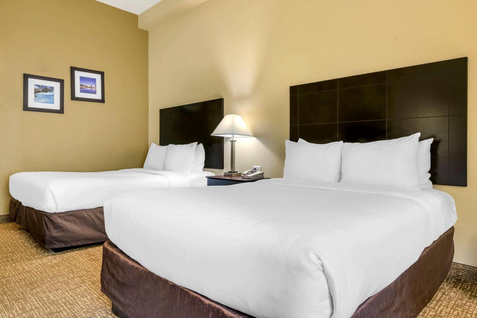 Standard Room Two Double Beds Disability Access