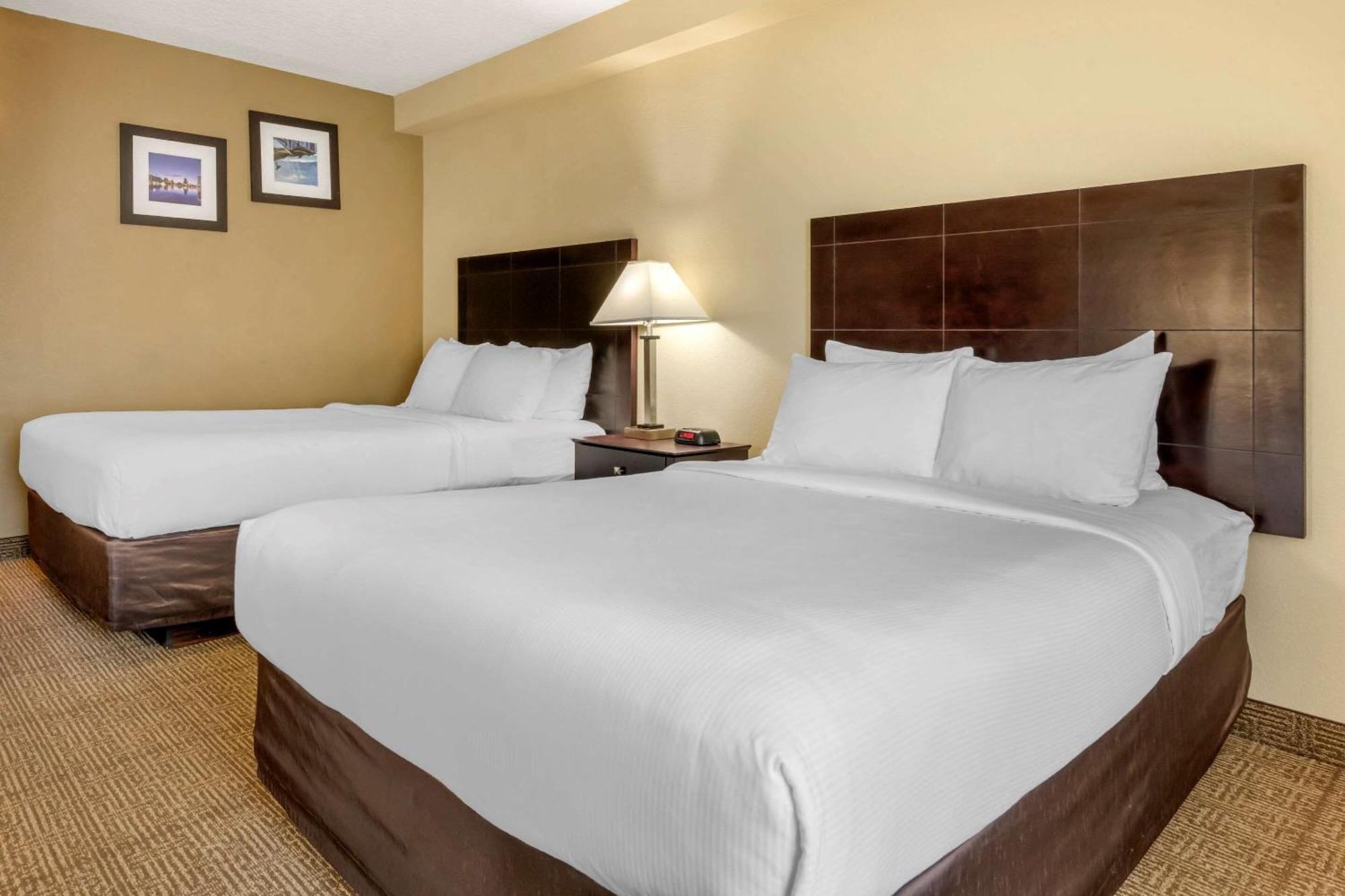 Queen Room Two Queen Beds