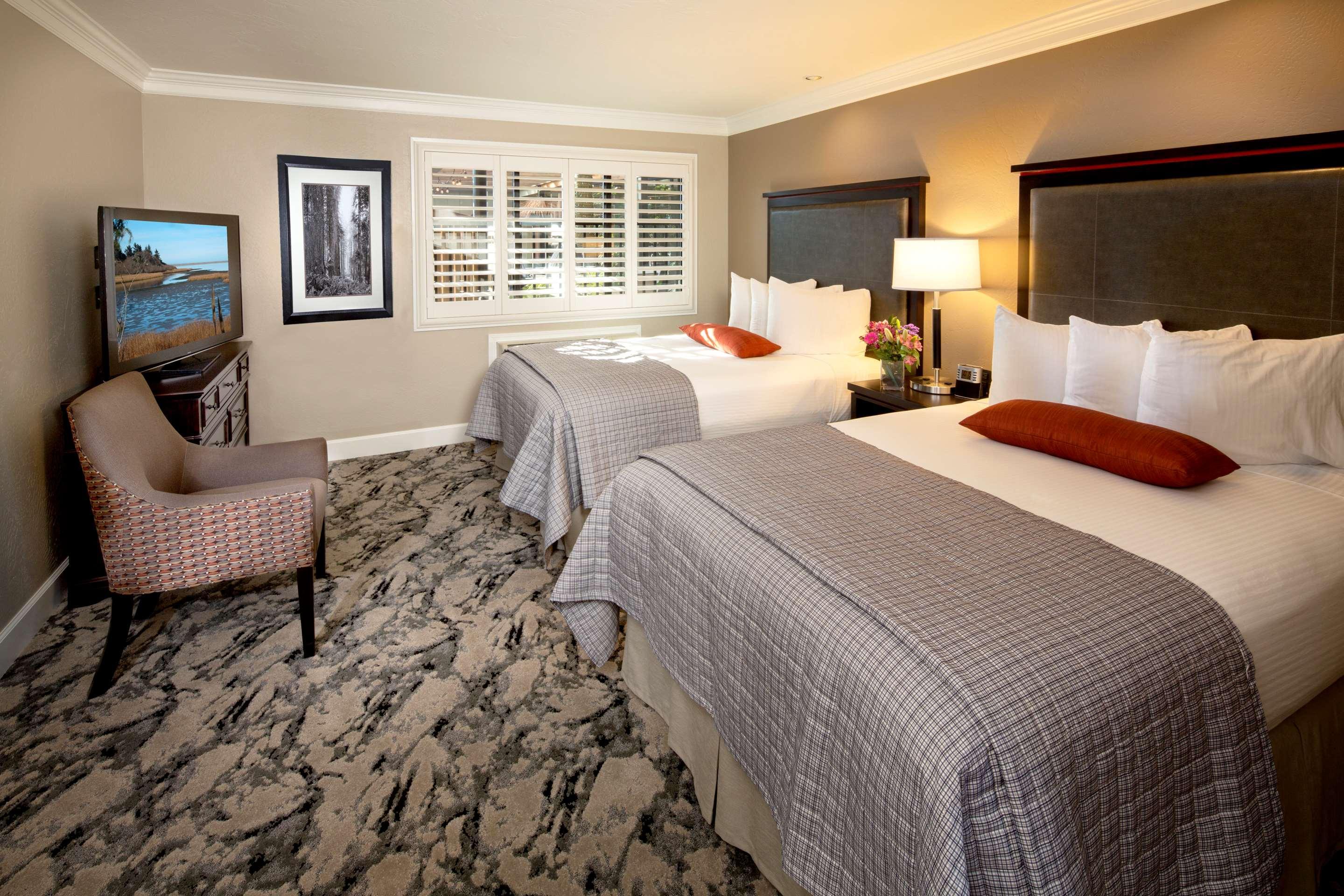 Double Room Two Double Beds