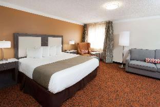 Leisure Suite