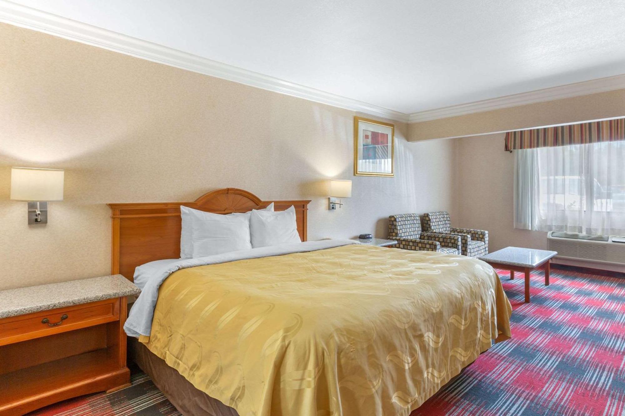 Standard Room 1 King Bed Non Smoking