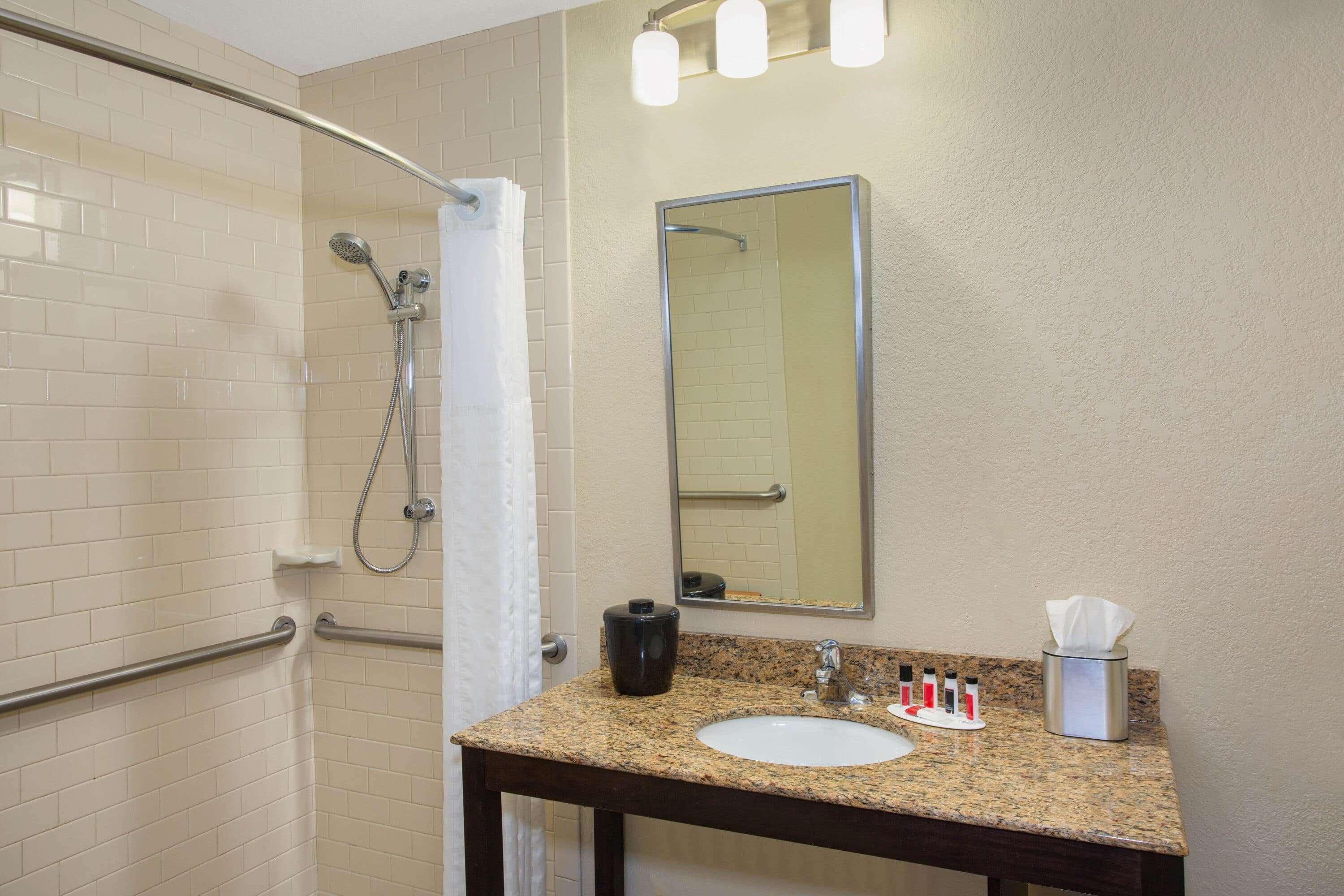 King Room Mobility Access or Non-Smoking