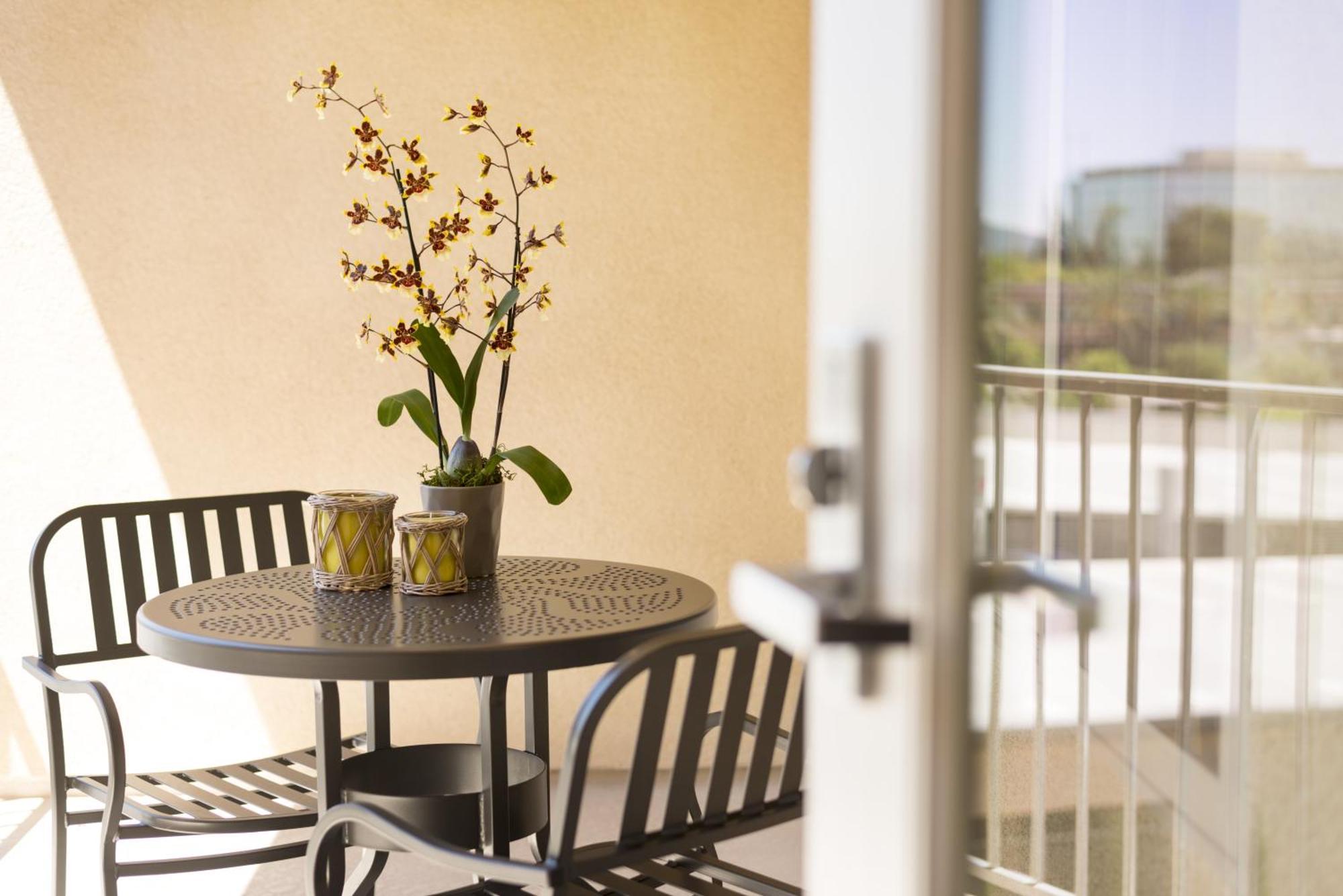 Studio Terrace