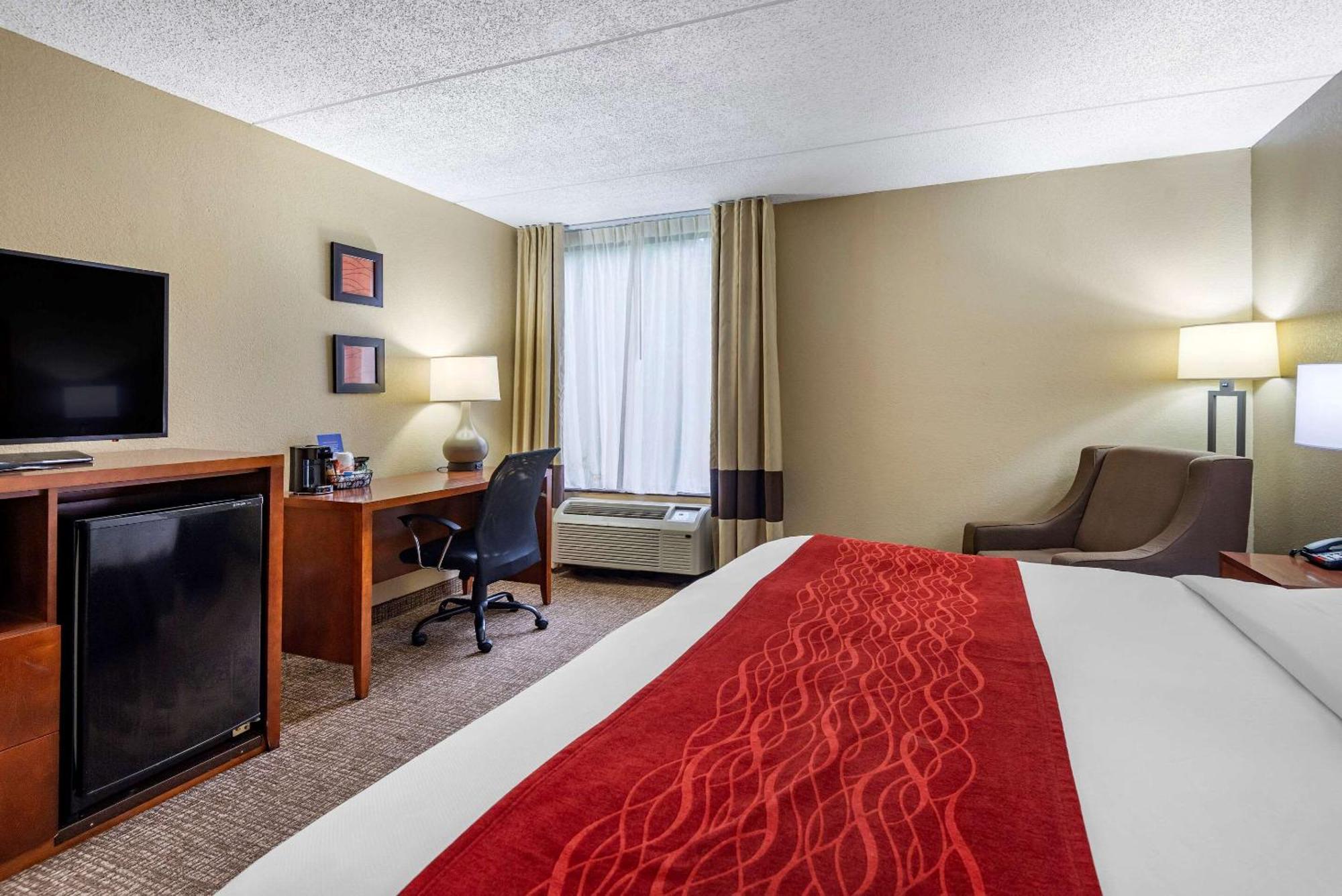 King Room Accessible or Non-Smoking