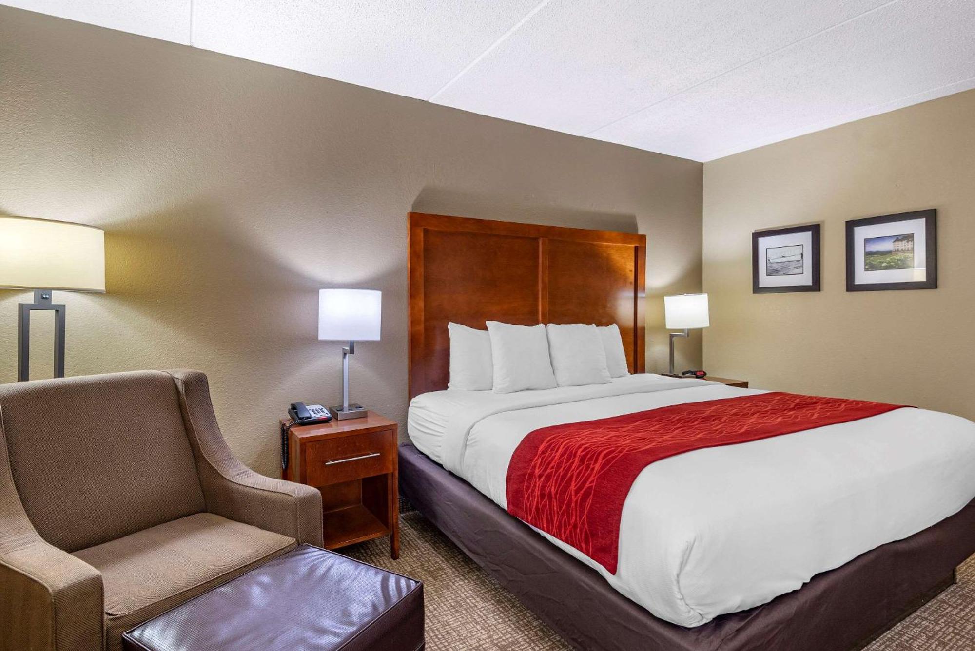 King Room Accessible or Non-Smoking
