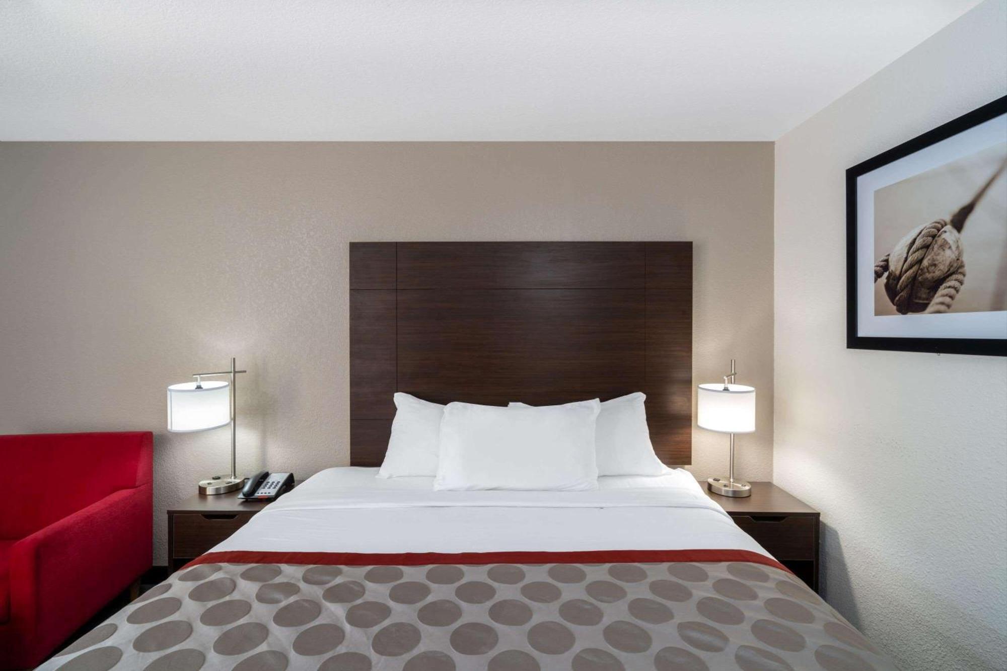 King Room Mountain View Accessible or Non-Smoking
