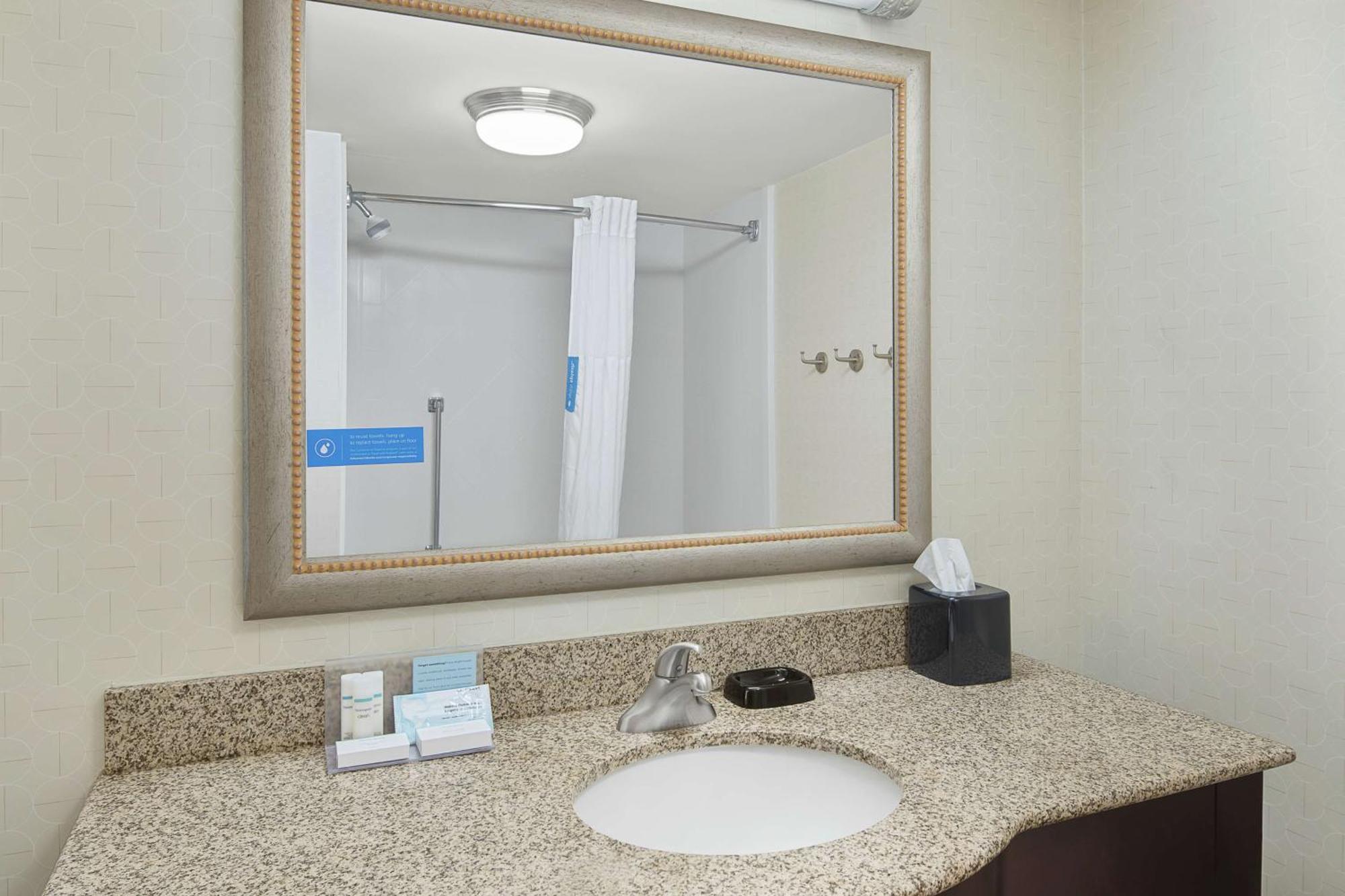 King Room Walk Shower Non-Smoking