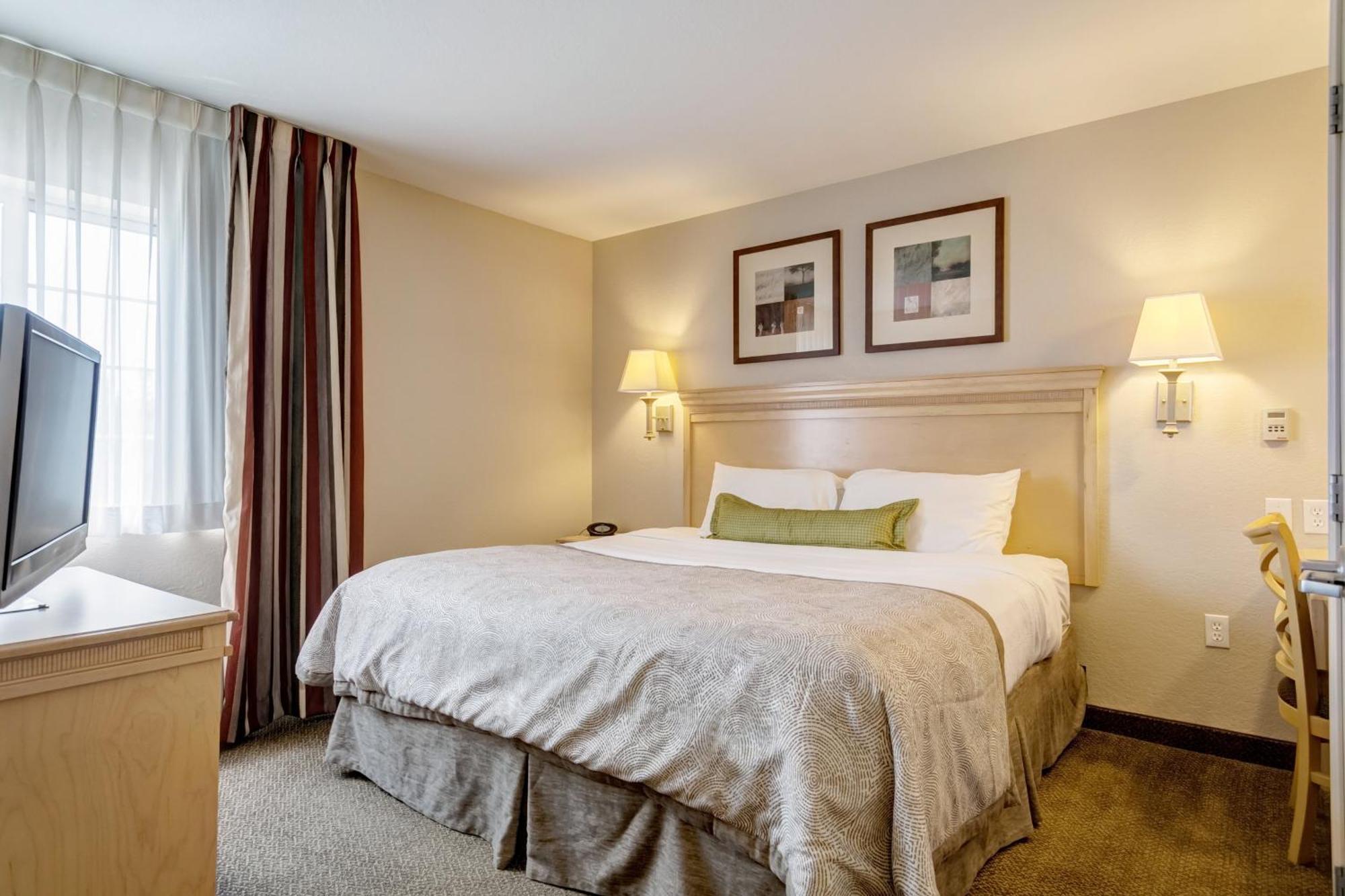 King Studio Suite