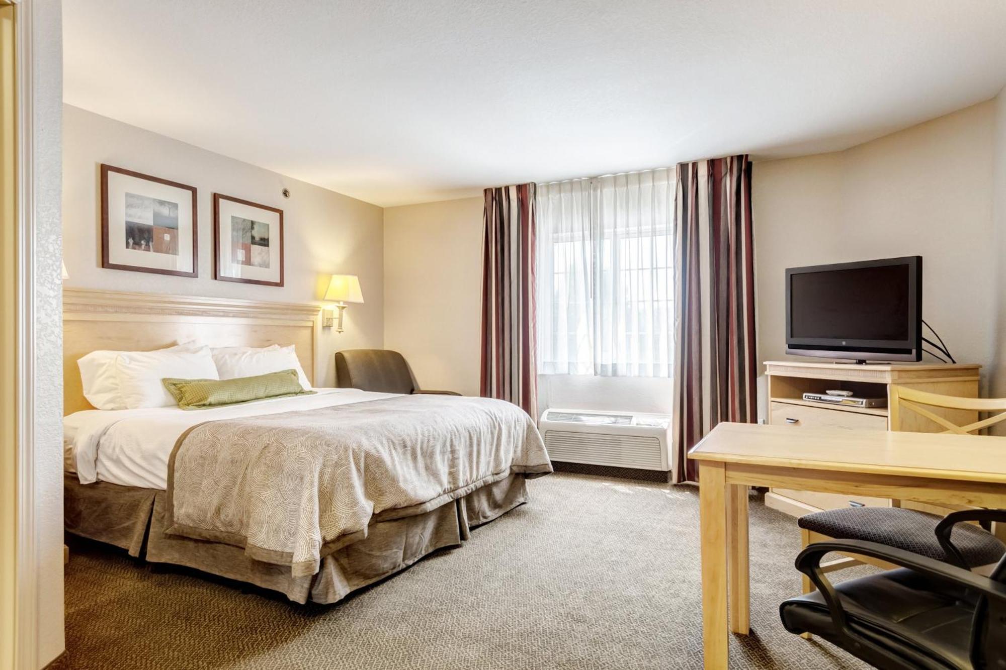 King Studio Suite
