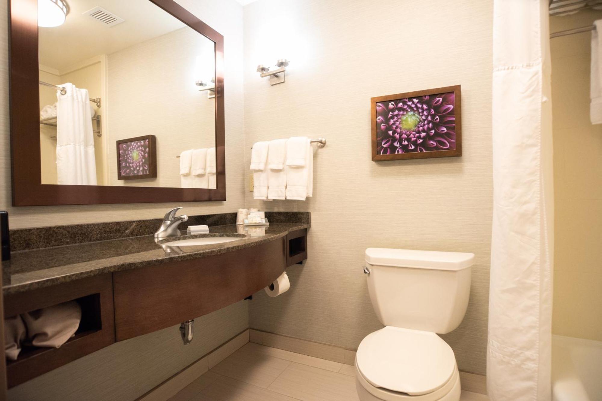 Evolution King Room