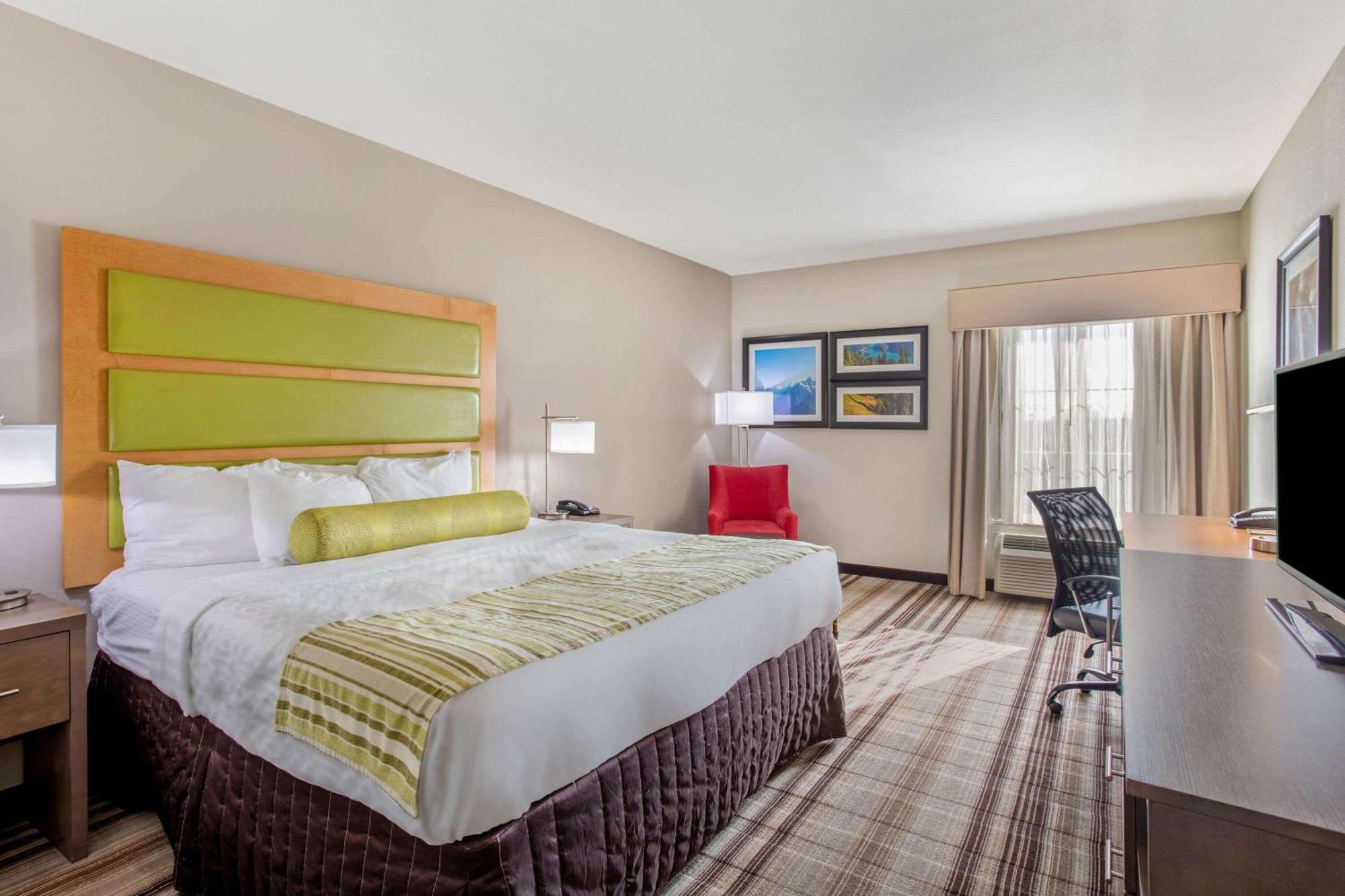 Executive King Room Sofa Bed