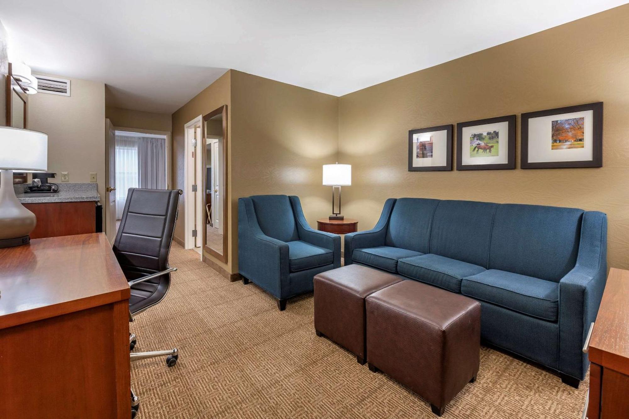 King Suite Sofa Bed