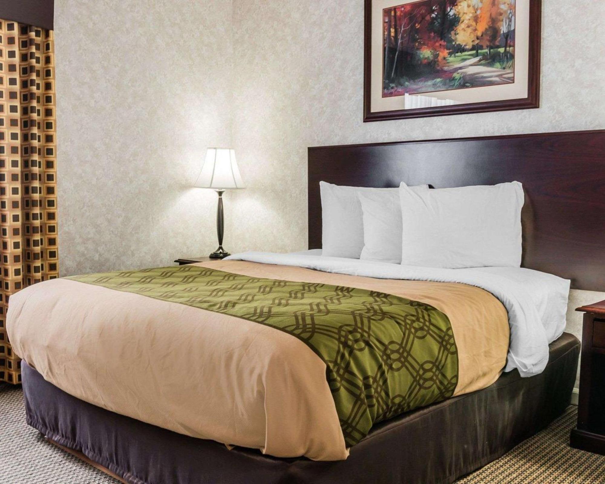 Queen Suite