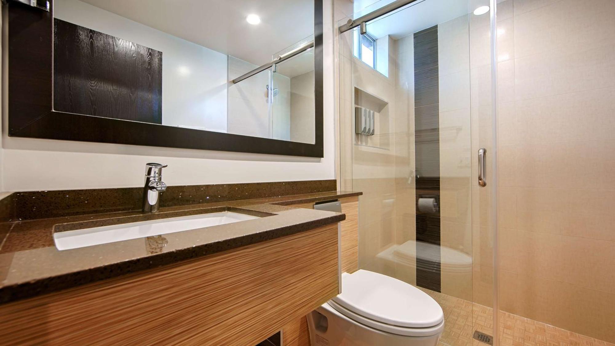 King Room Shower Only Non-Smoking