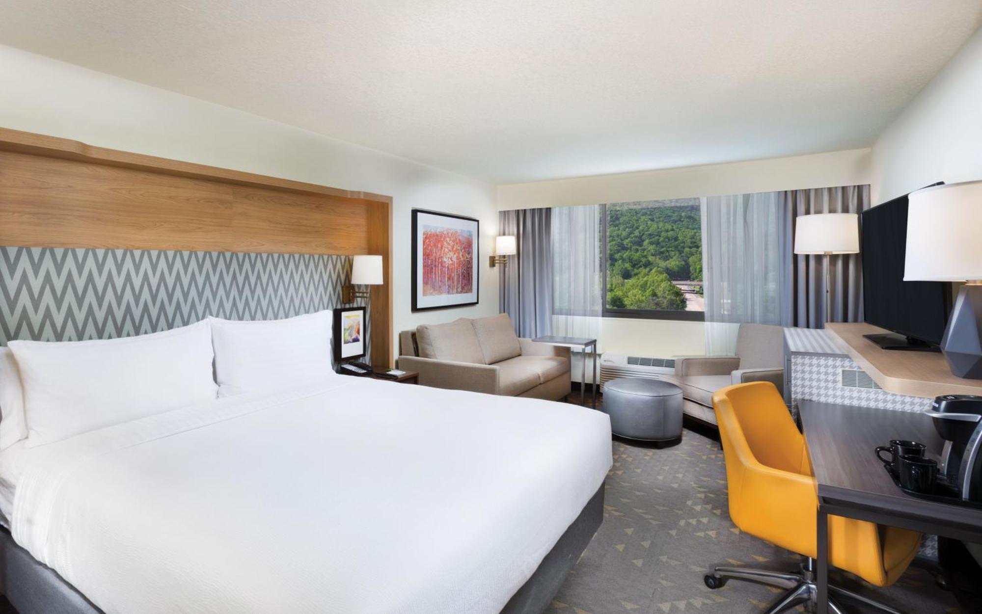 King Room Mountain View Non-Smoking