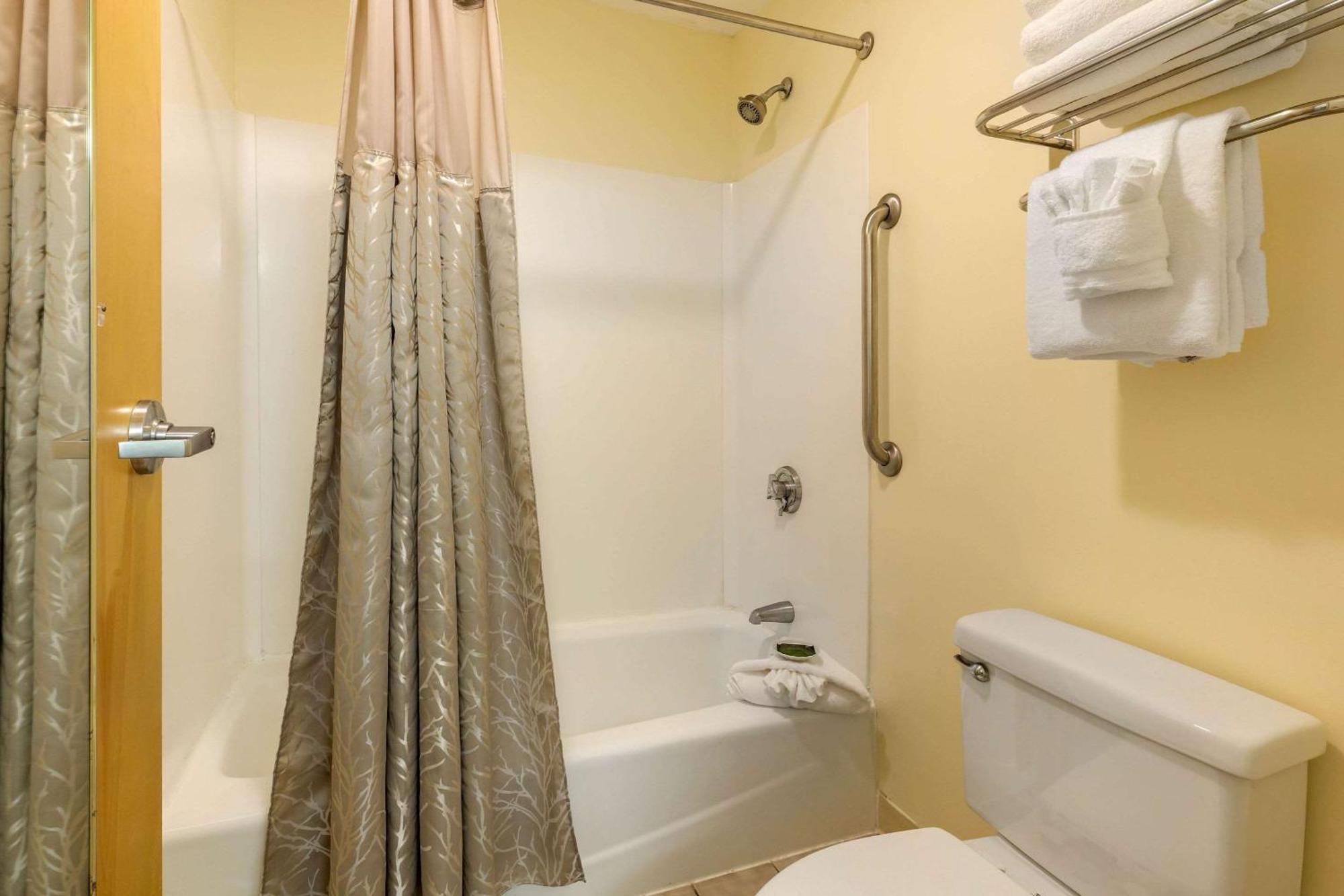 Executive King Suite Two King Beds Non-Smoking