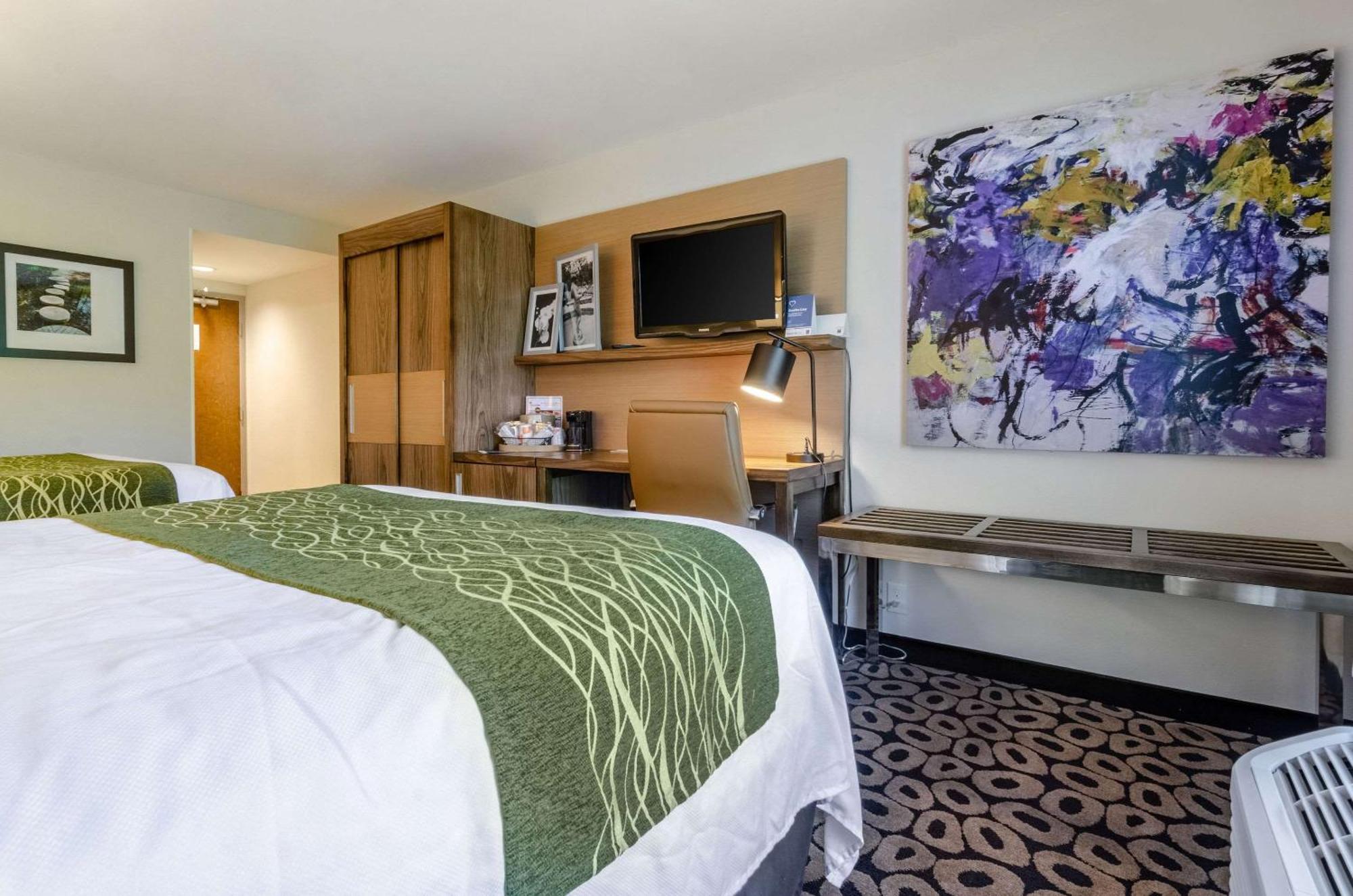 Superior Queen Suite Tub Accessible or Non Smoking