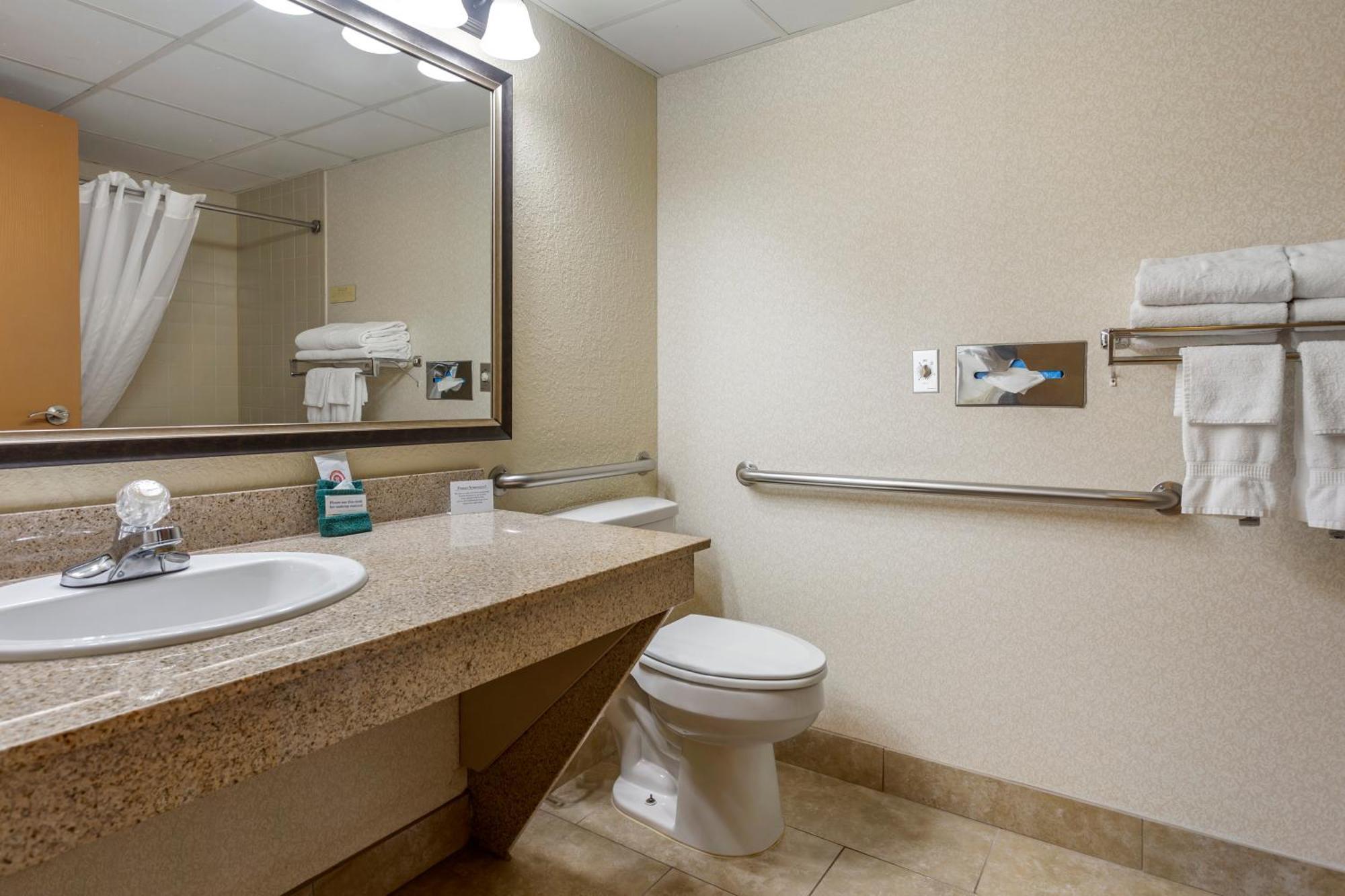King Room Roll Shower Accessible or Non-Smoking