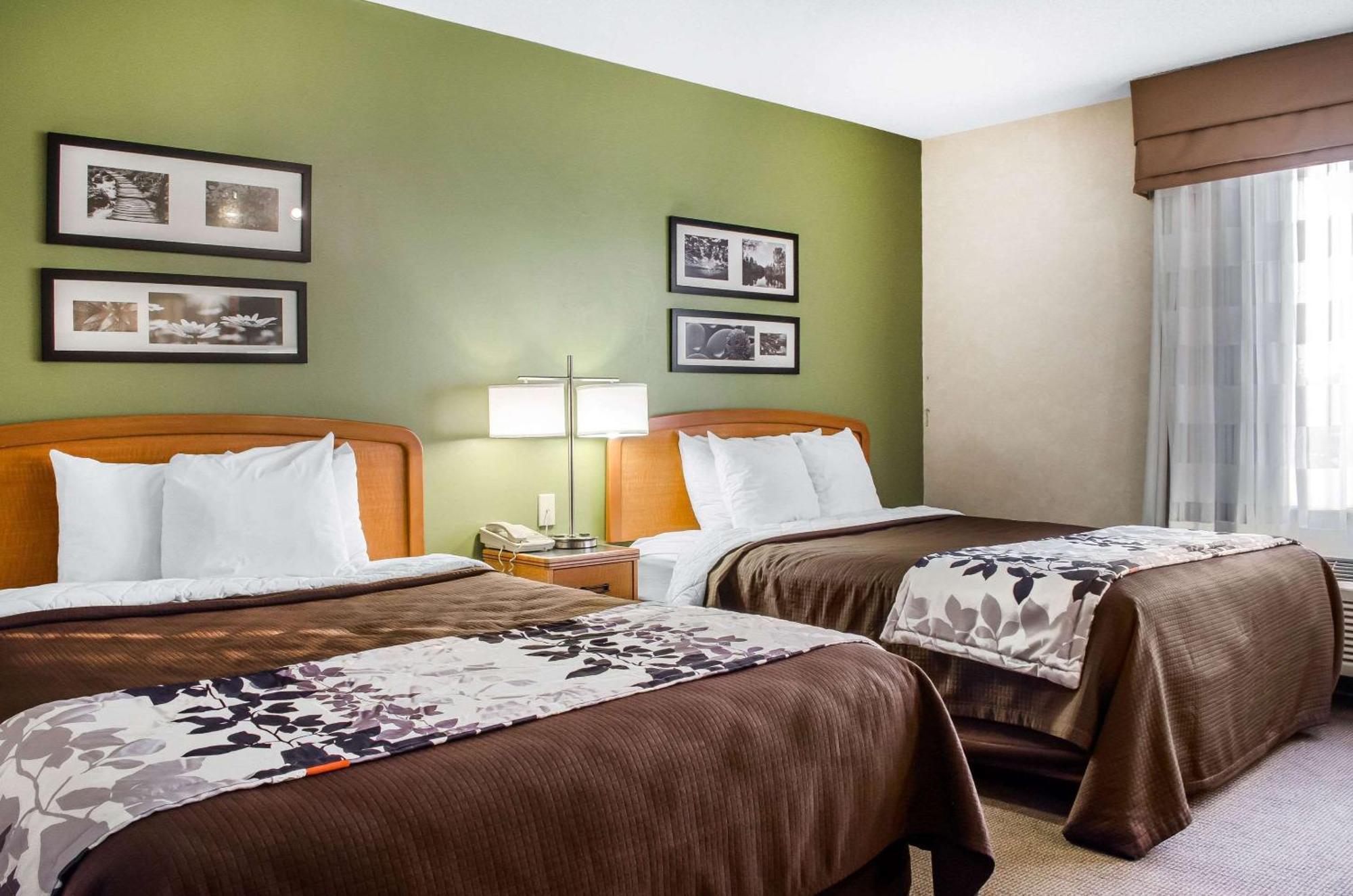 Suite Two Double Beds