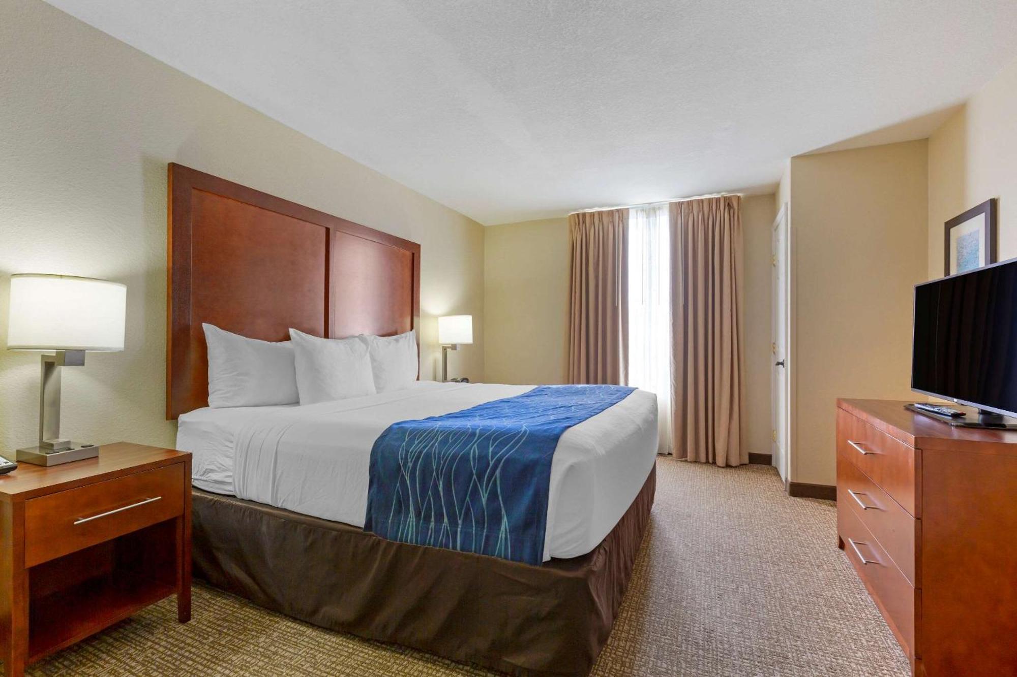 King Suite with Sofa Bed