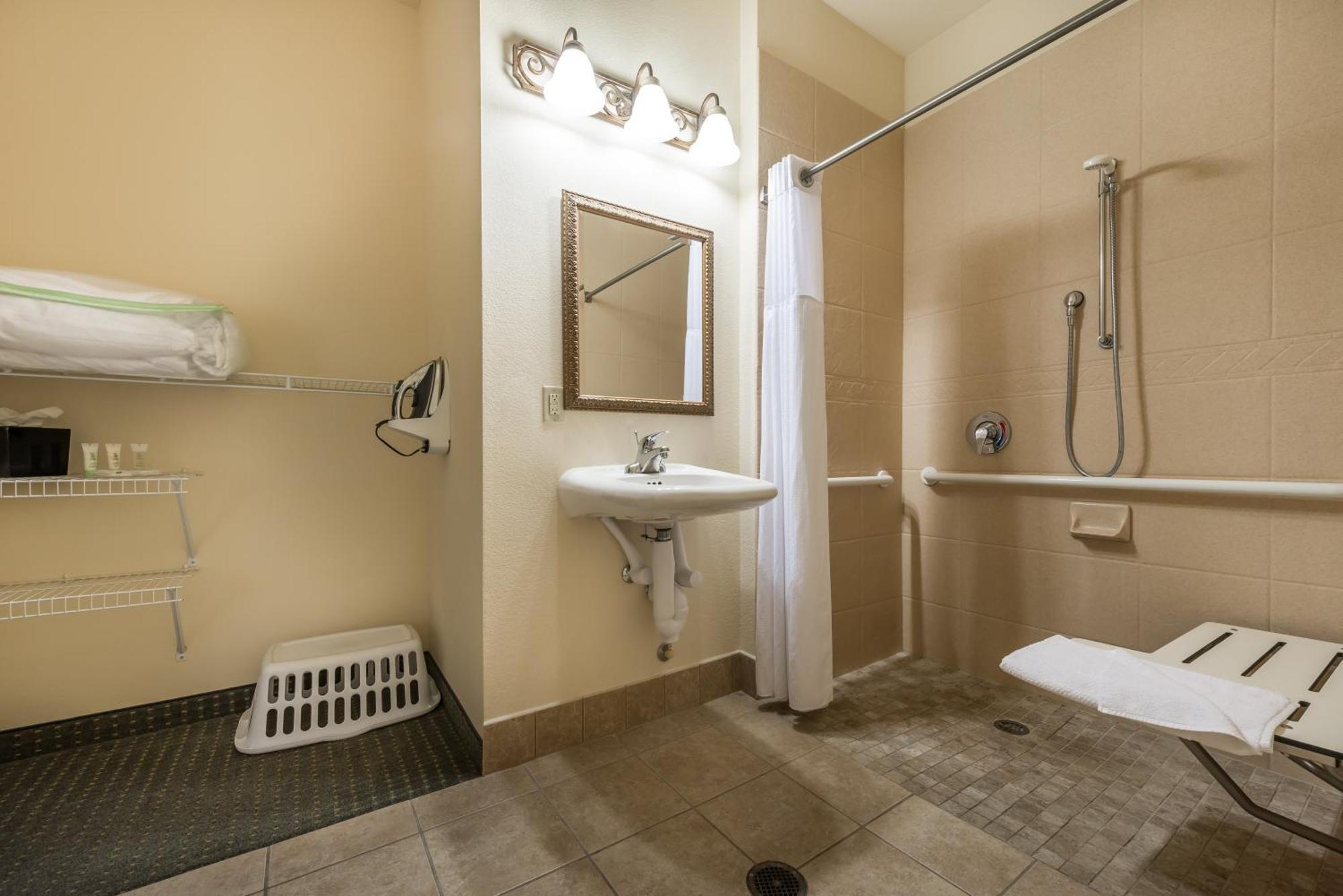 Queen Studio Suite Mobility Access Roll Shower or Non-Smoking