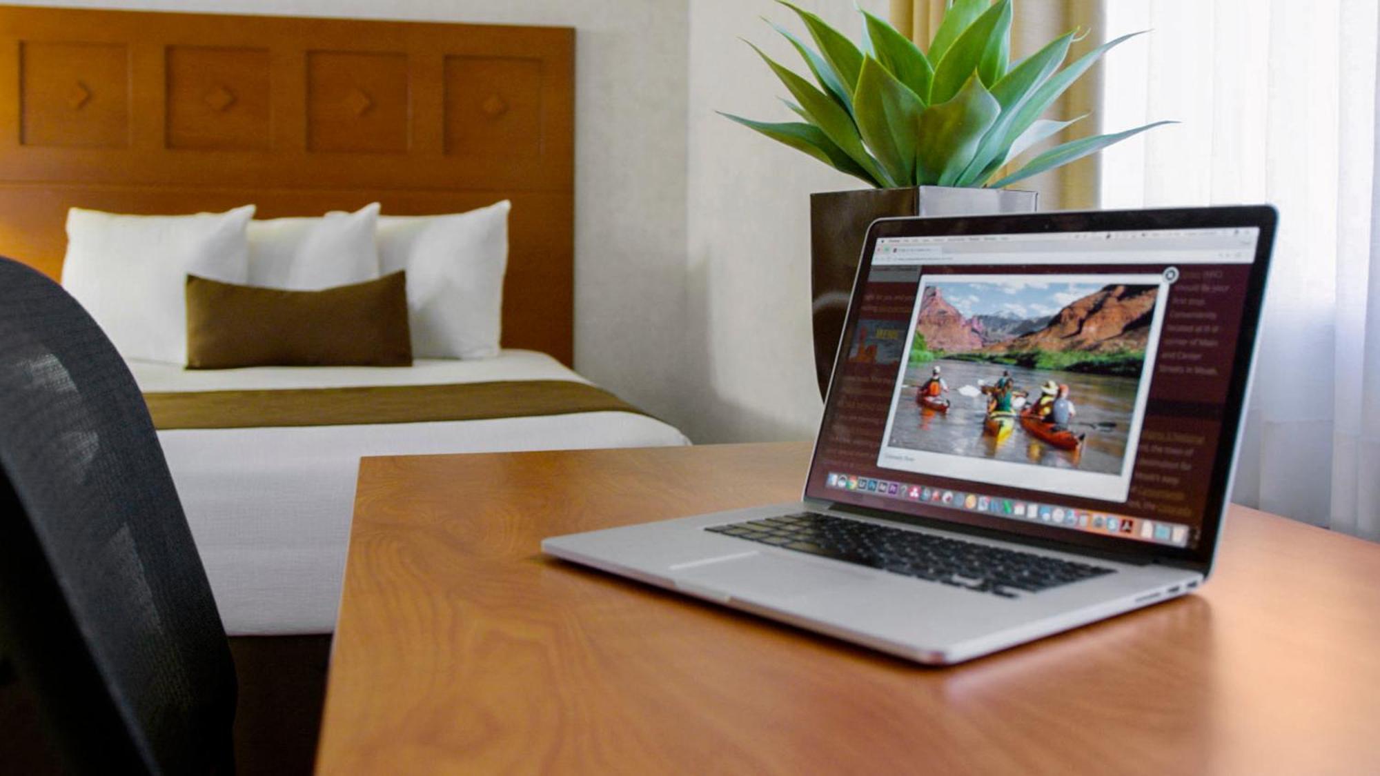 Single Room - Disability Access,1281401902:JPEG