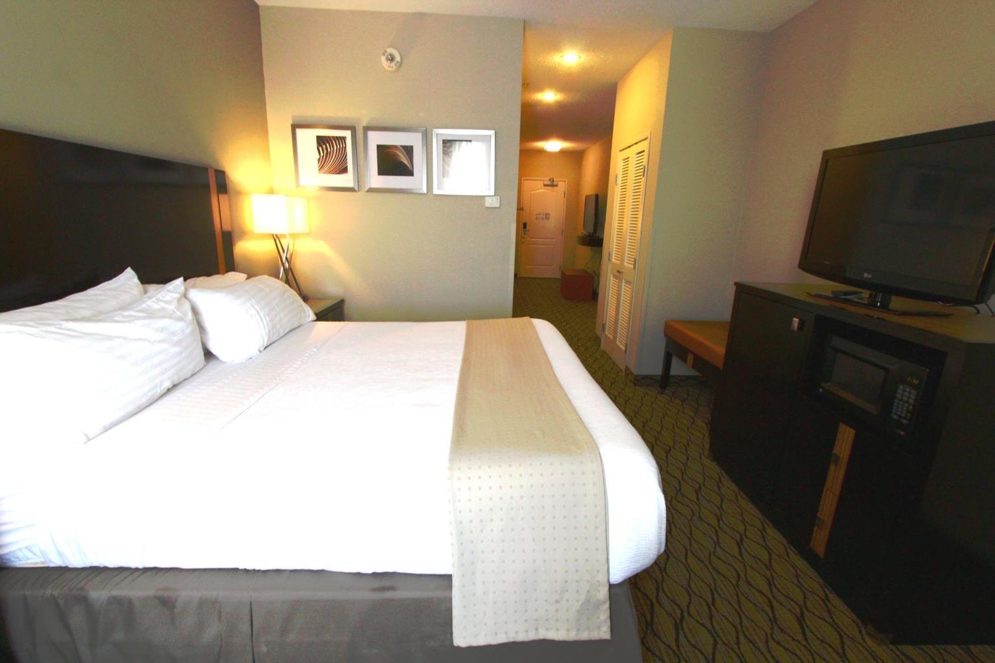 King Suite with Sofa Bed