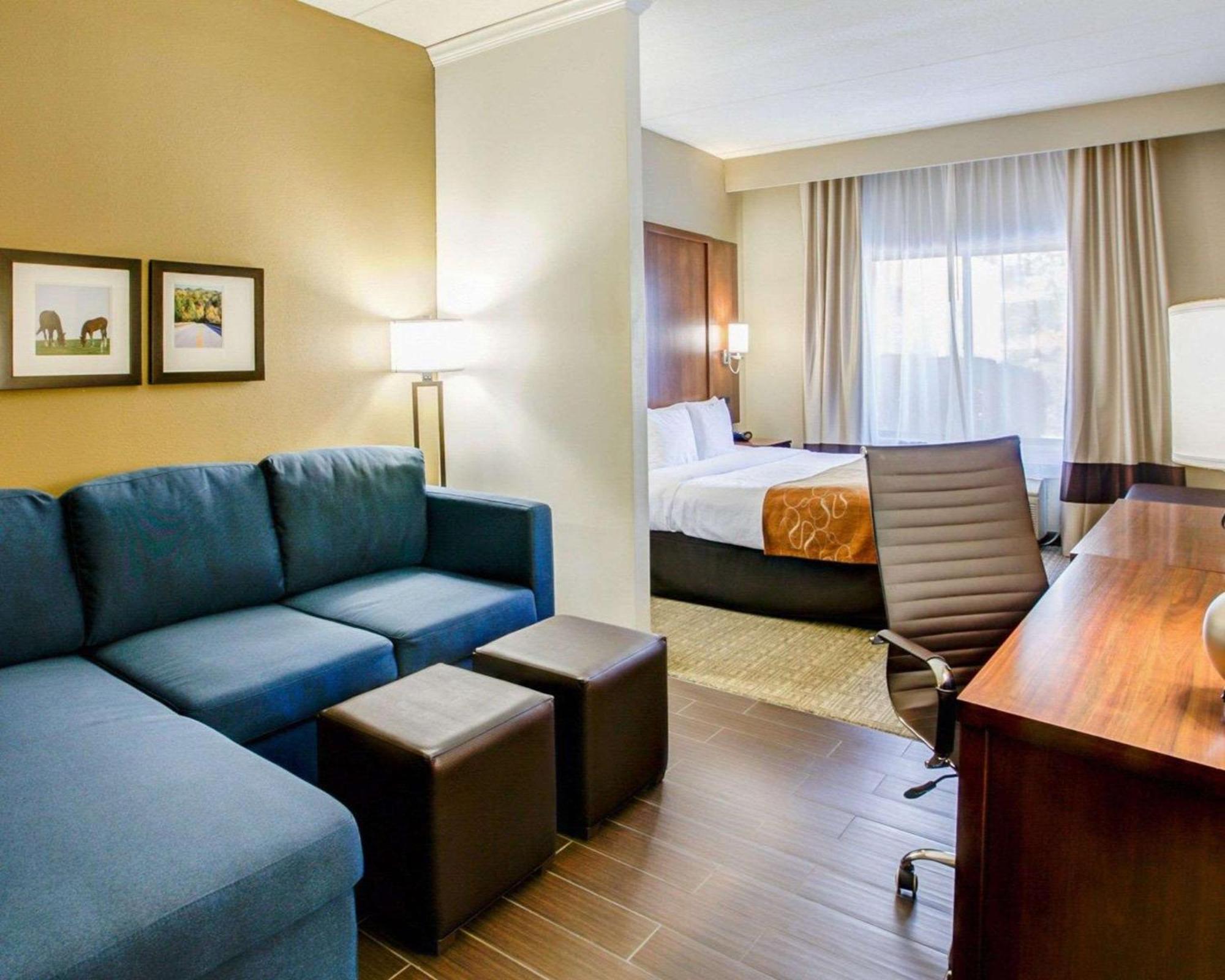 King Suite Sofa Bed Non Smoking